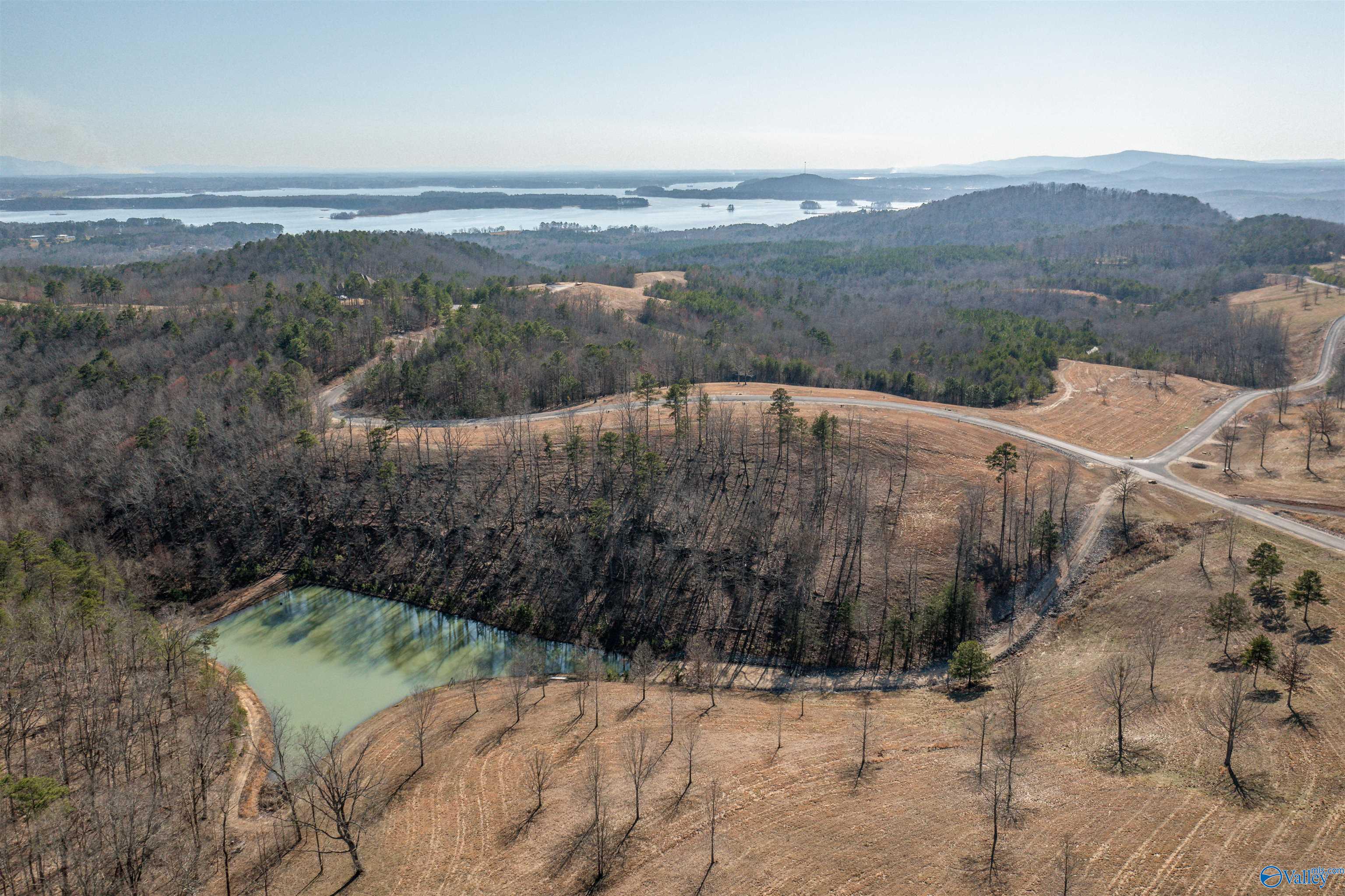 209 County Road 767, Cedar Bluff, Alabama image 6