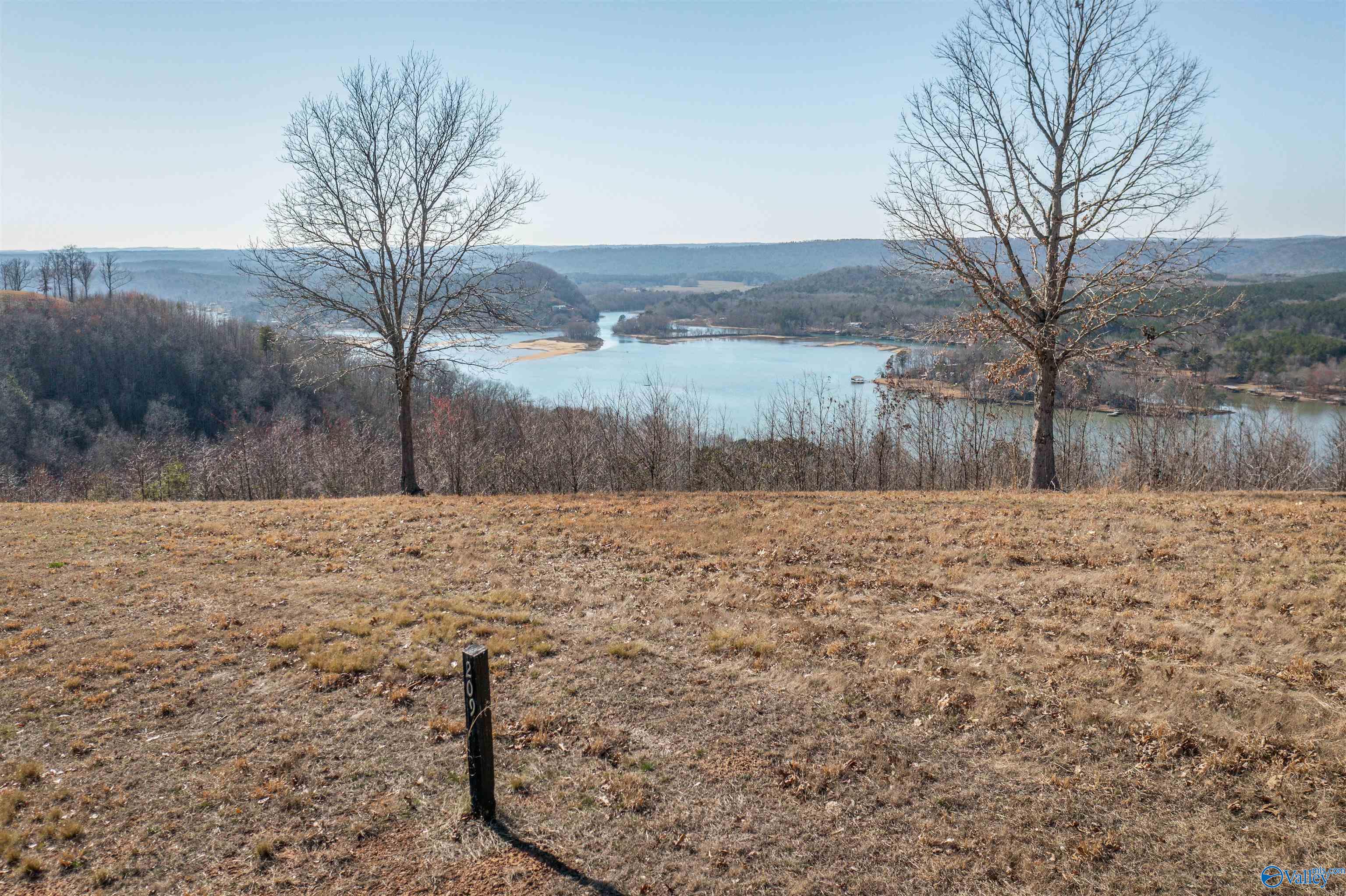 209 County Road 767, Cedar Bluff, Alabama image 9