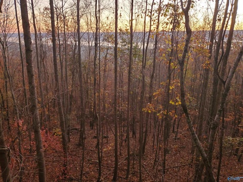 Homes For Sale - 1048 County Road 730<br/> Dekalb County, Henagar, AL 35978