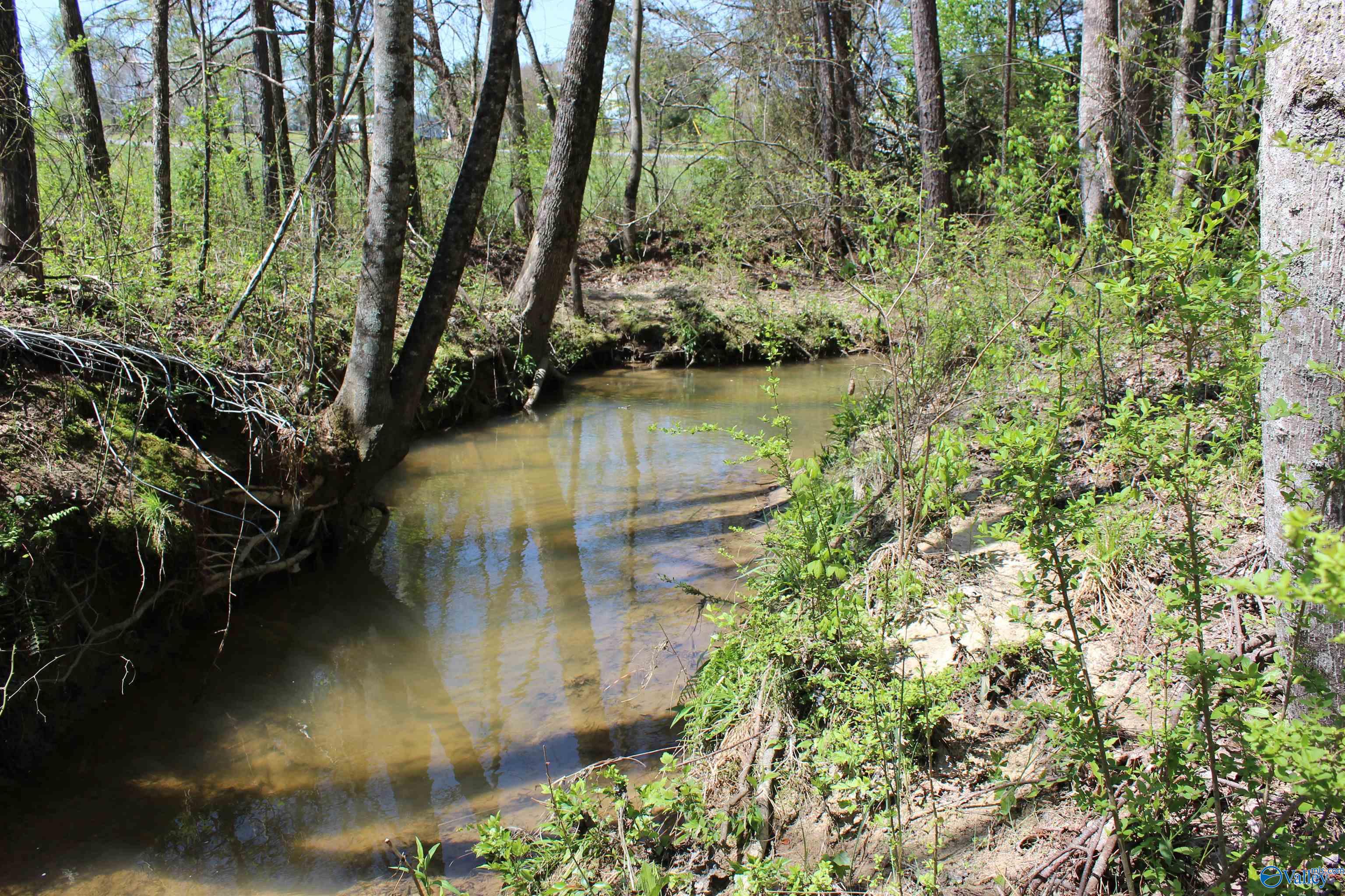 4.8 County Road 122, Fort Payne, Alabama image 10