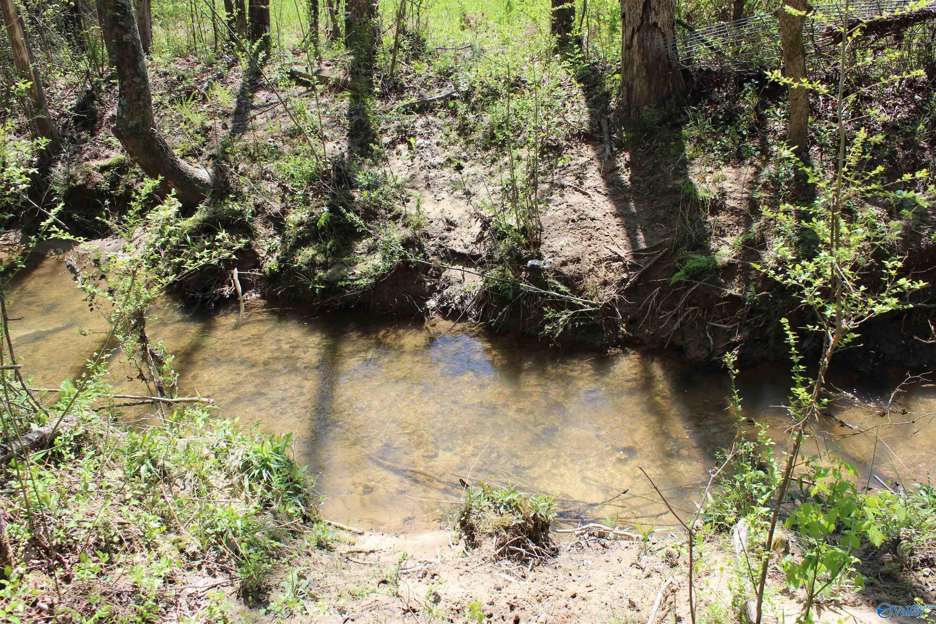 4.8 County Road 122, Fort Payne, Alabama image 9