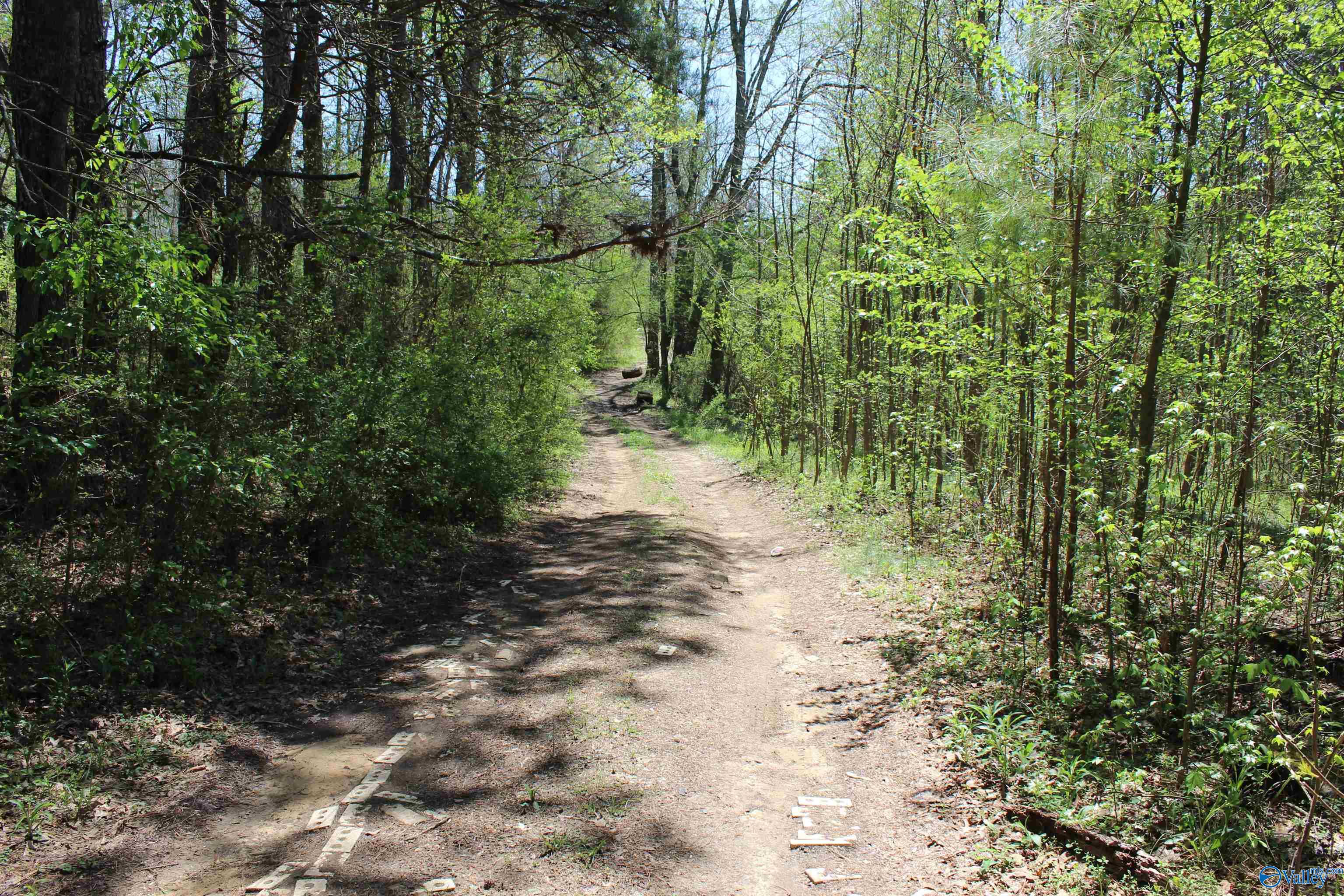 4.8 County Road 122, Fort Payne, Alabama image 1