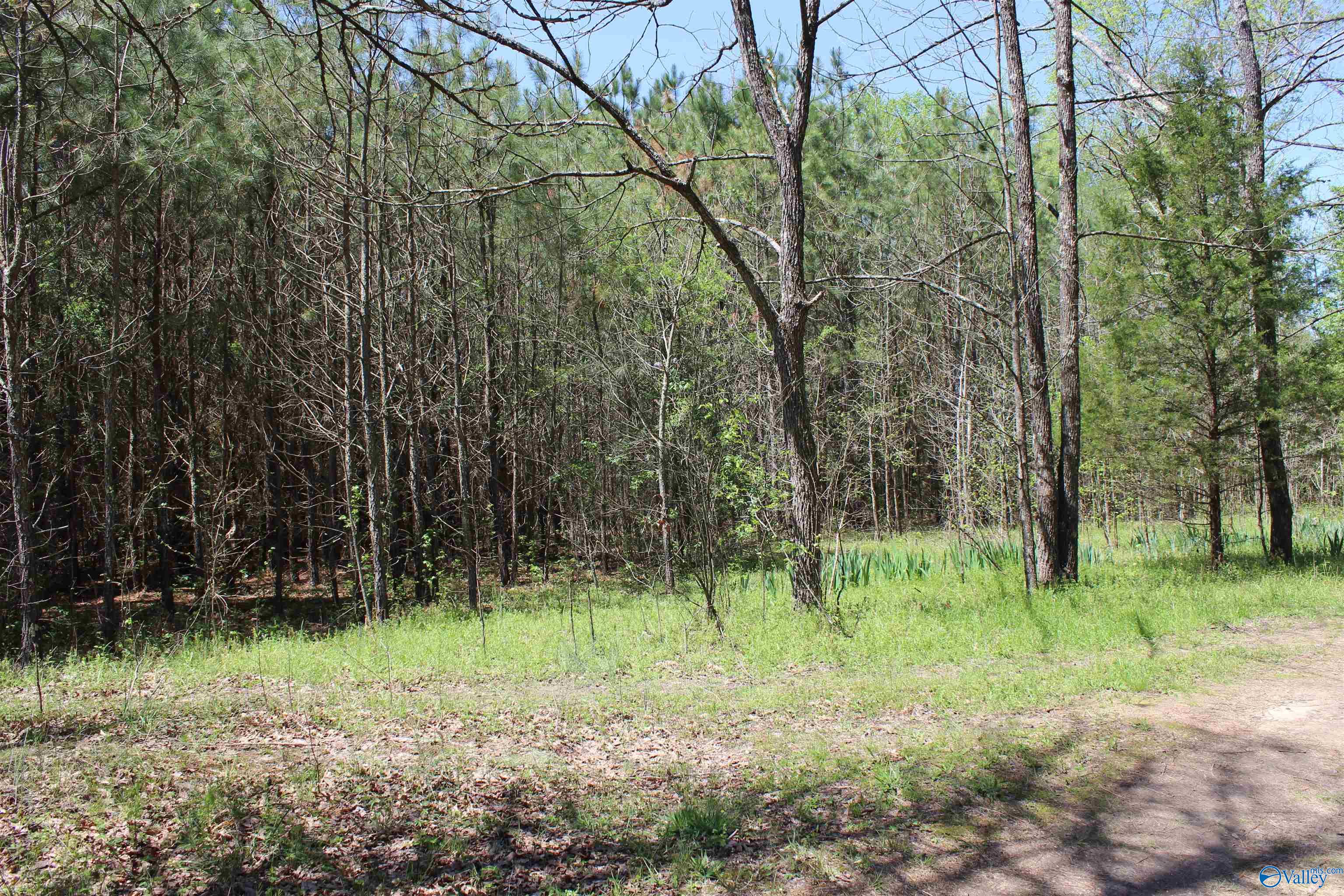 4.8 County Road 122, Fort Payne, Alabama image 2