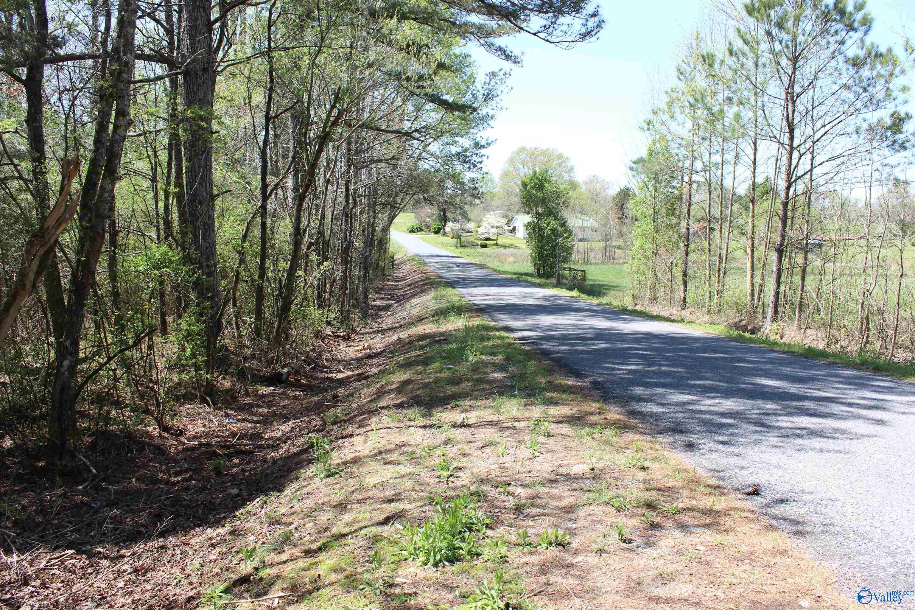 4.8 County Road 122, Fort Payne, Alabama image 5