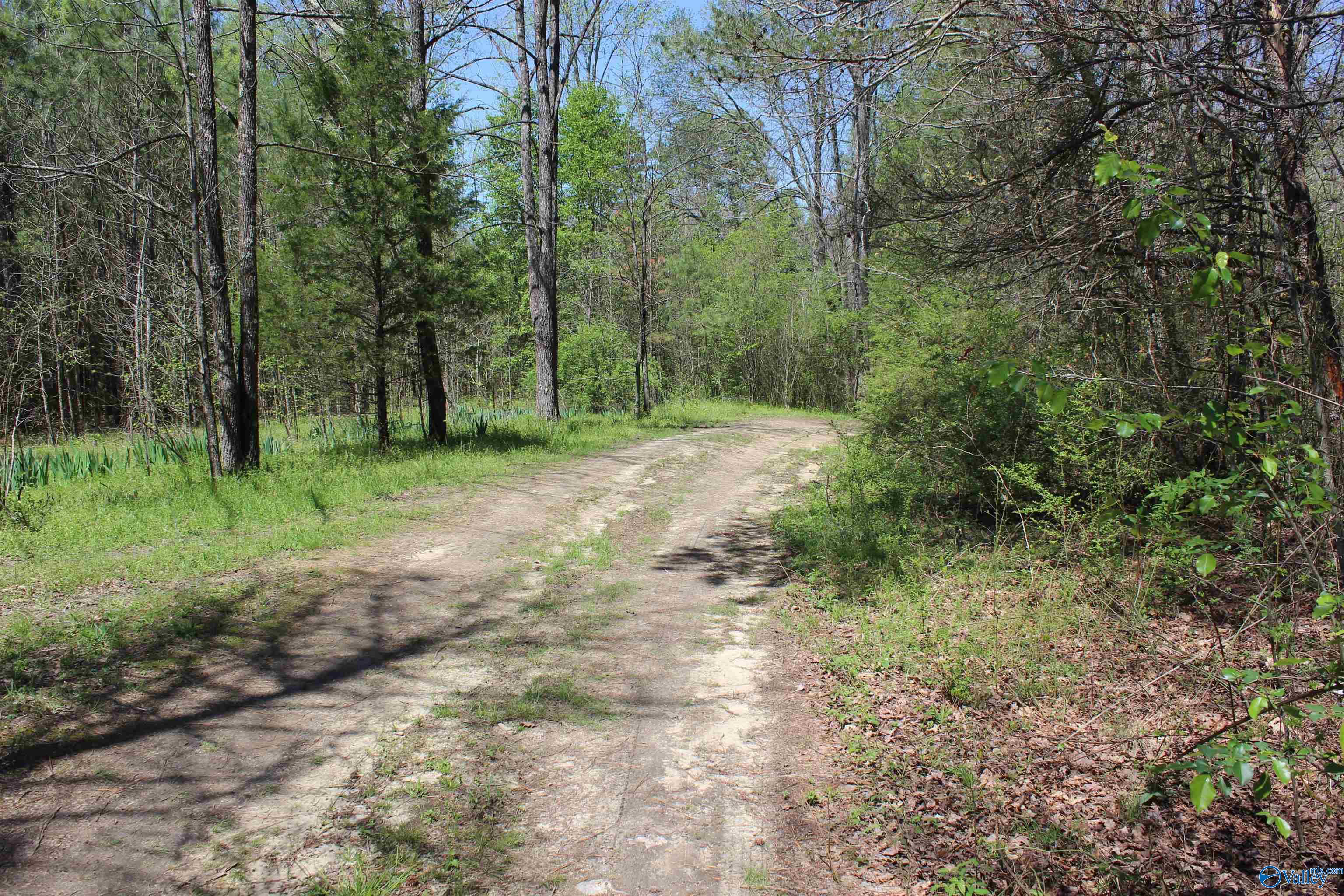 4.8 County Road 122, Fort Payne, Alabama image 3