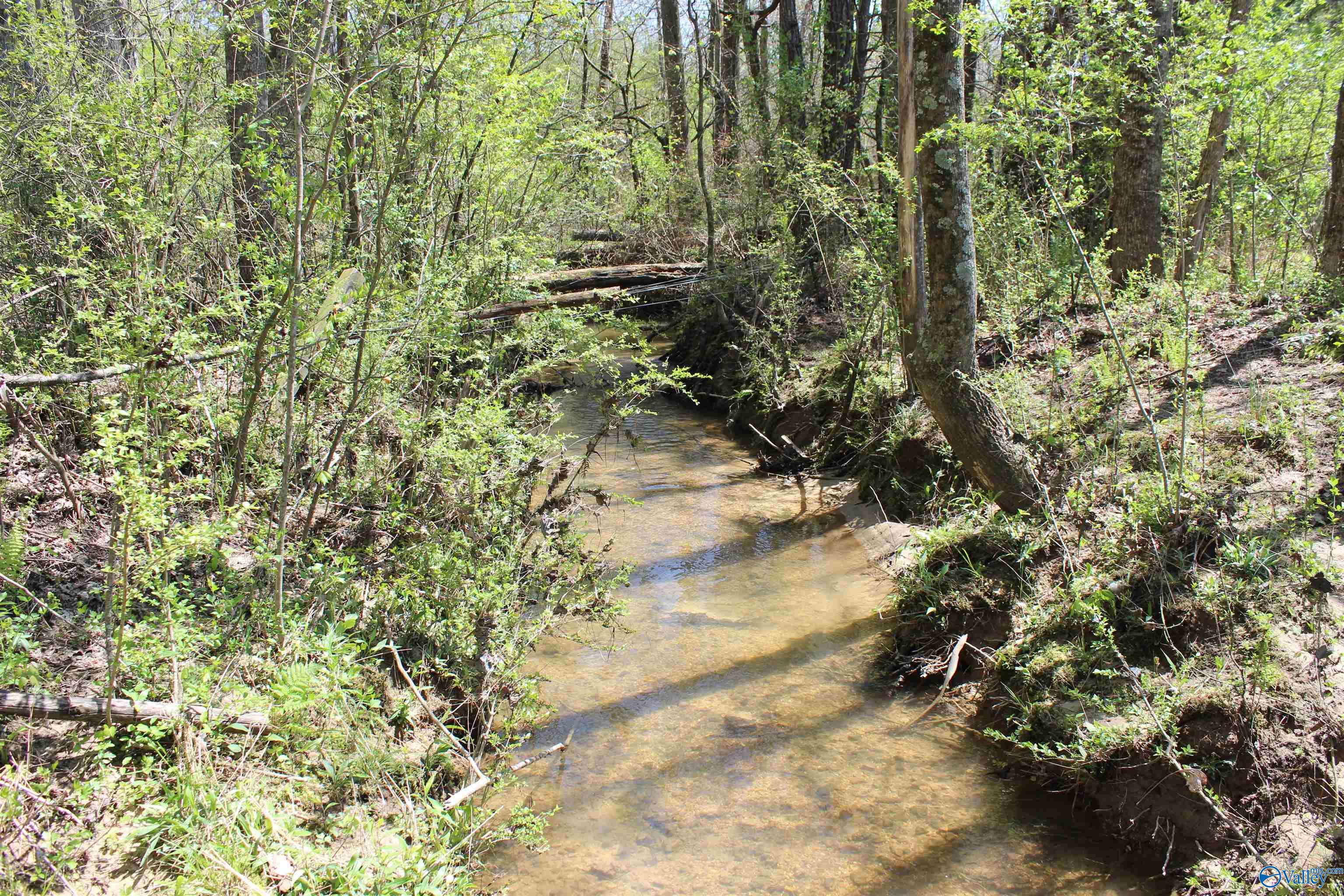 4.8 County Road 122, Fort Payne, Alabama image 11