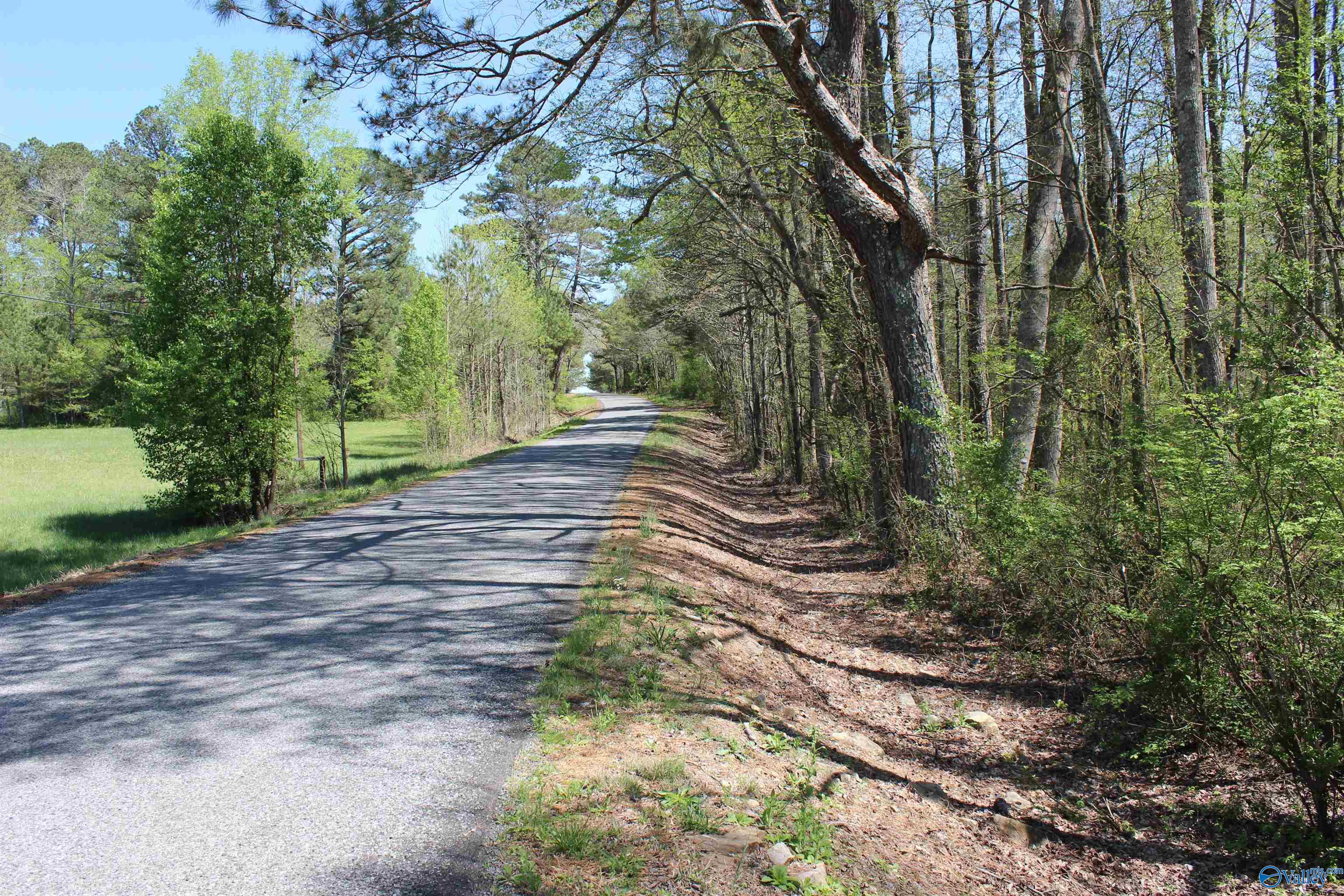4.8 County Road 122, Fort Payne, Alabama image 6
