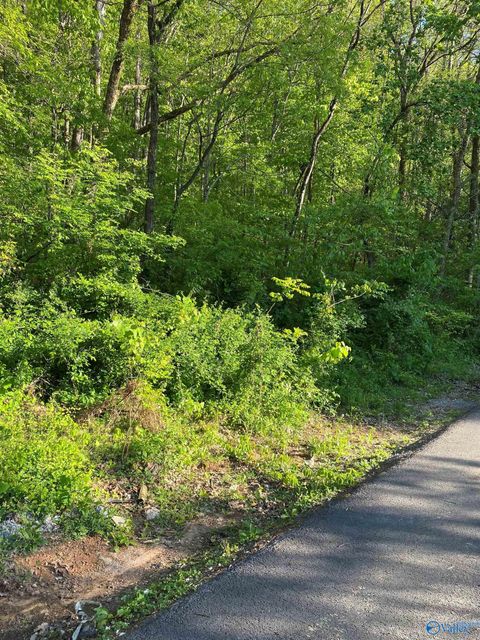 Vacant Land For Sale - 3711 Wilborn Avenue<br/> Fort Payne, AL 35967