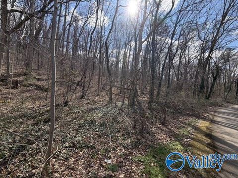 Vacant Land For Sale - 3711 Wilborn Avenue<br/> Fort Payne, AL 35967
