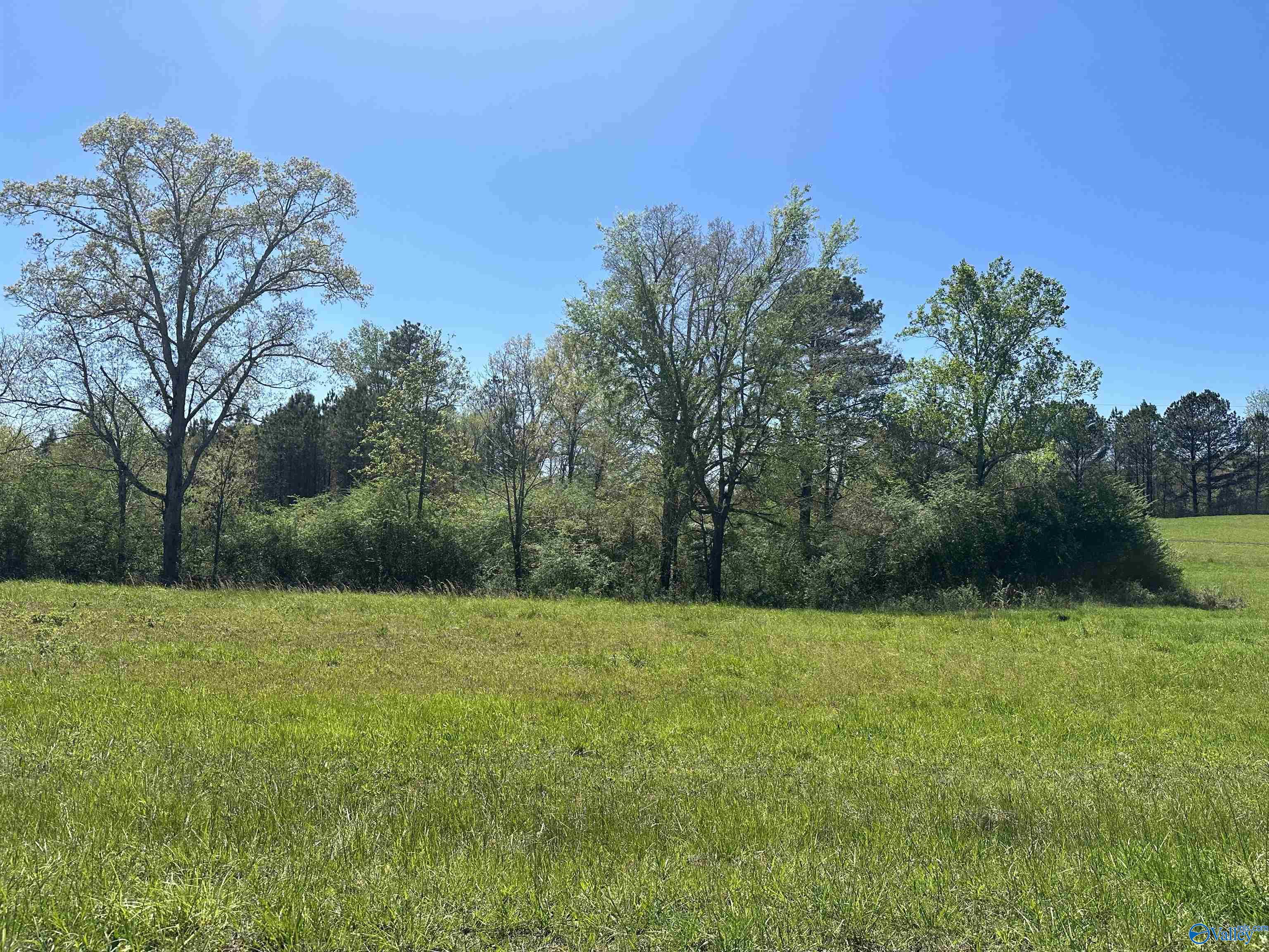 17 Acres County Road 1061, Vinemont, Alabama image 1