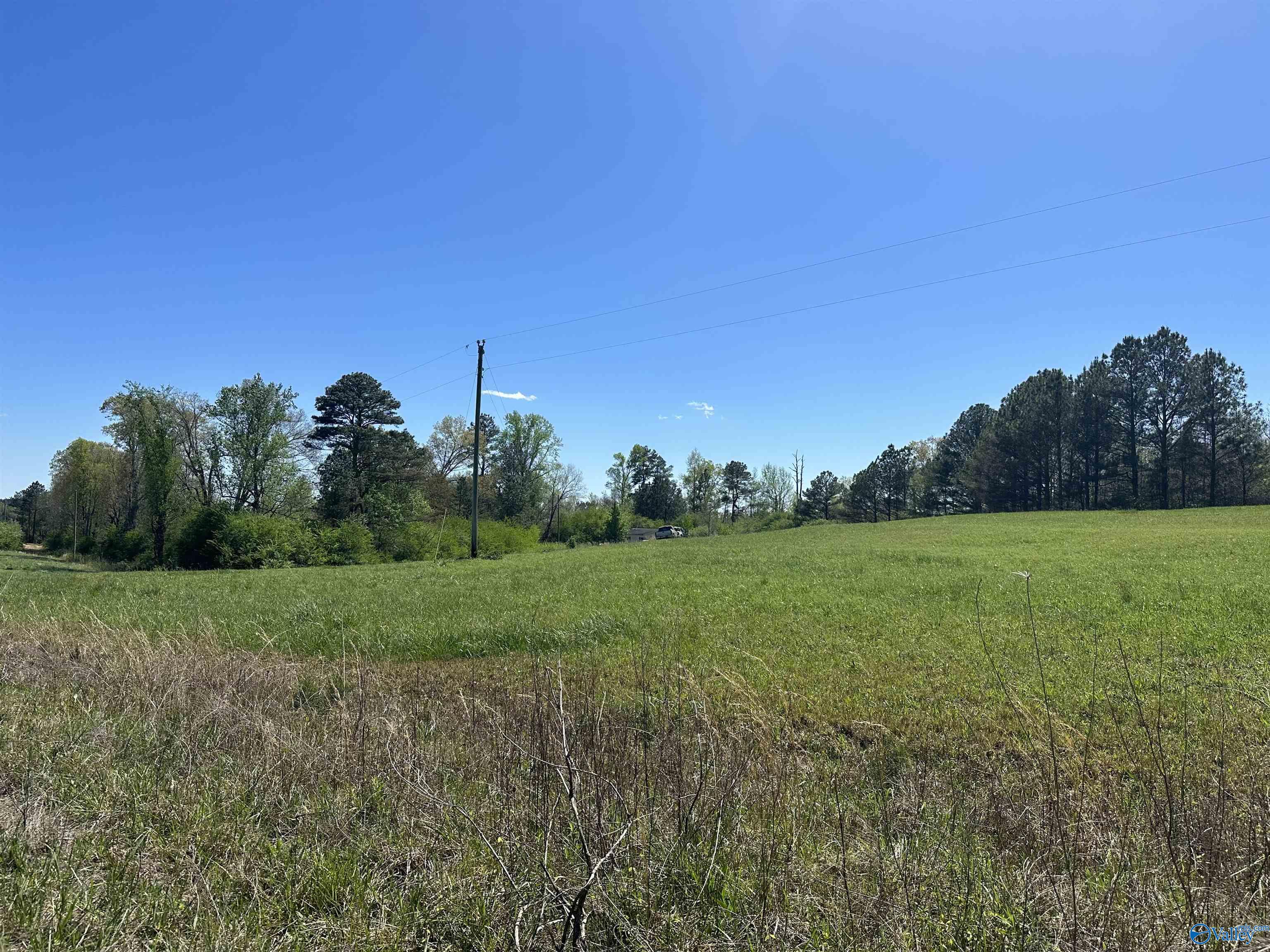 17 Acres County Road 1061, Vinemont, Alabama image 7