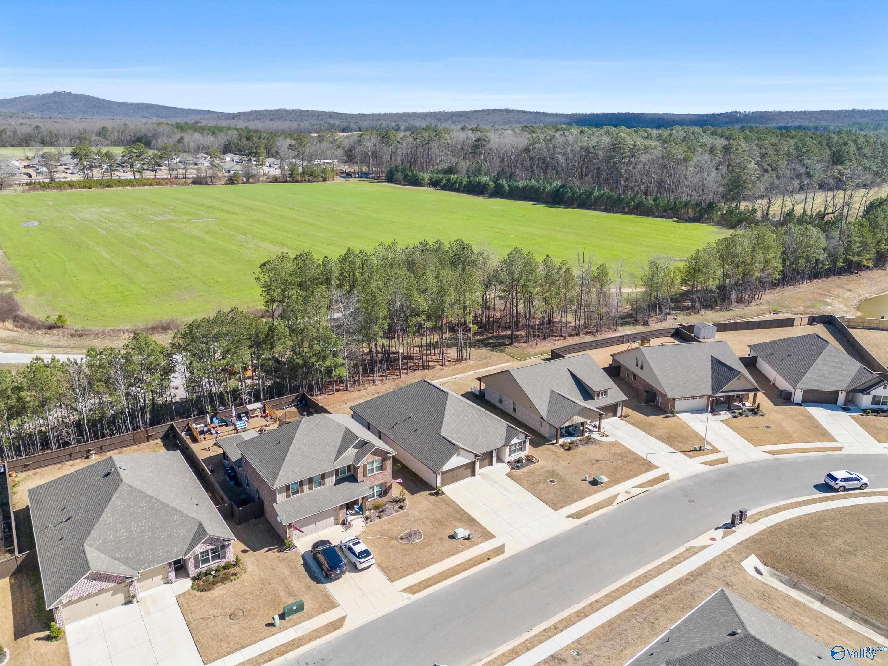 138 Barlow Way, Owens Cross Roads, Alabama image 42
