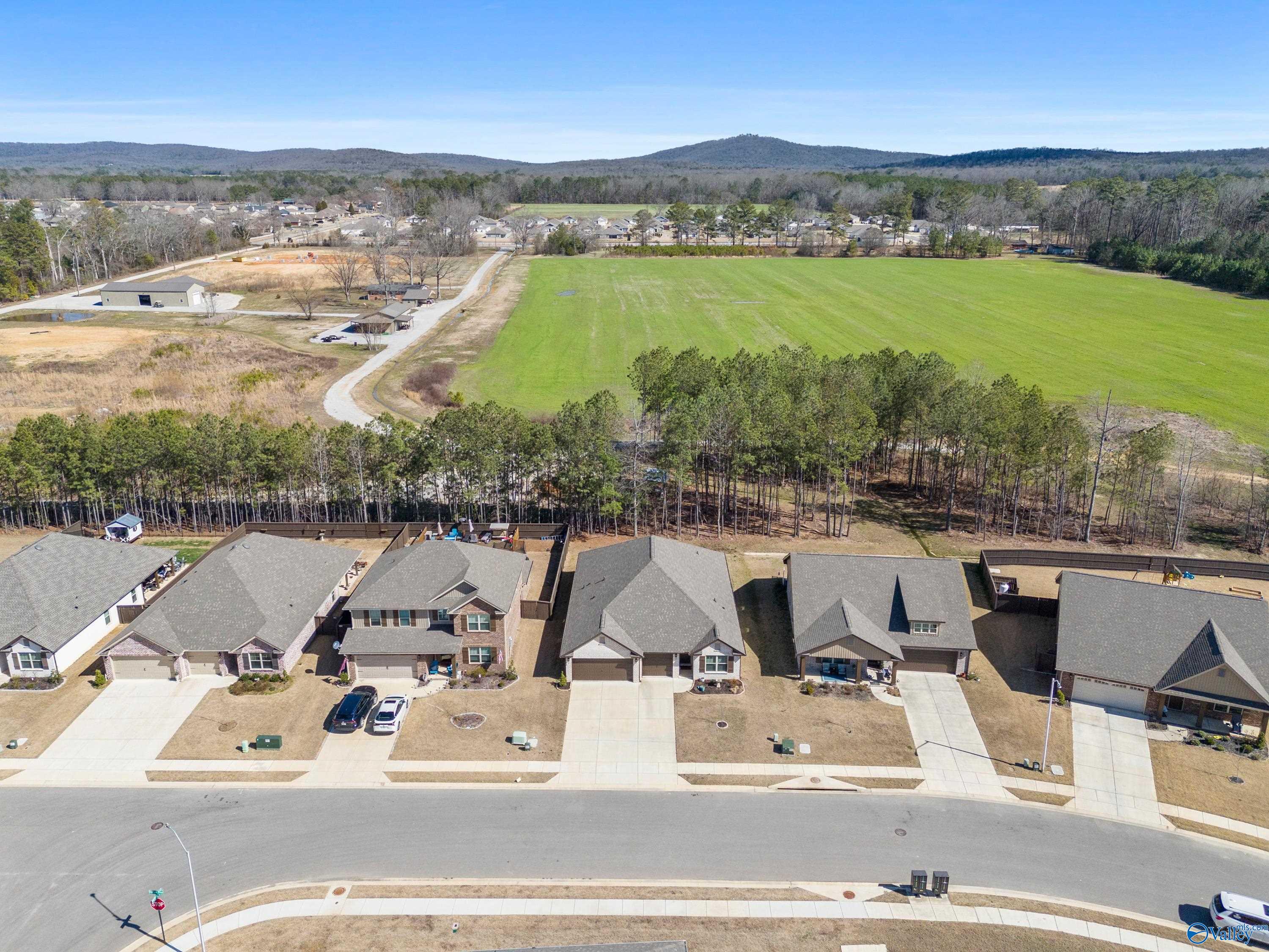 138 Barlow Way, Owens Cross Roads, Alabama image 41
