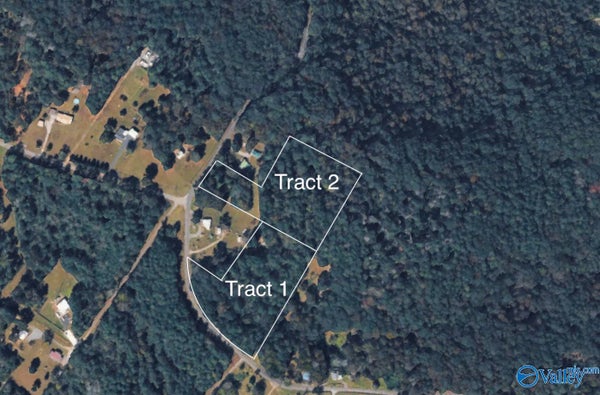 WYETH MOUNTAIN RD, GUNTERSVILLE, AL 35976 - Image 0d0bf60fe36f9638e8e5f6504c2e2101/502886437