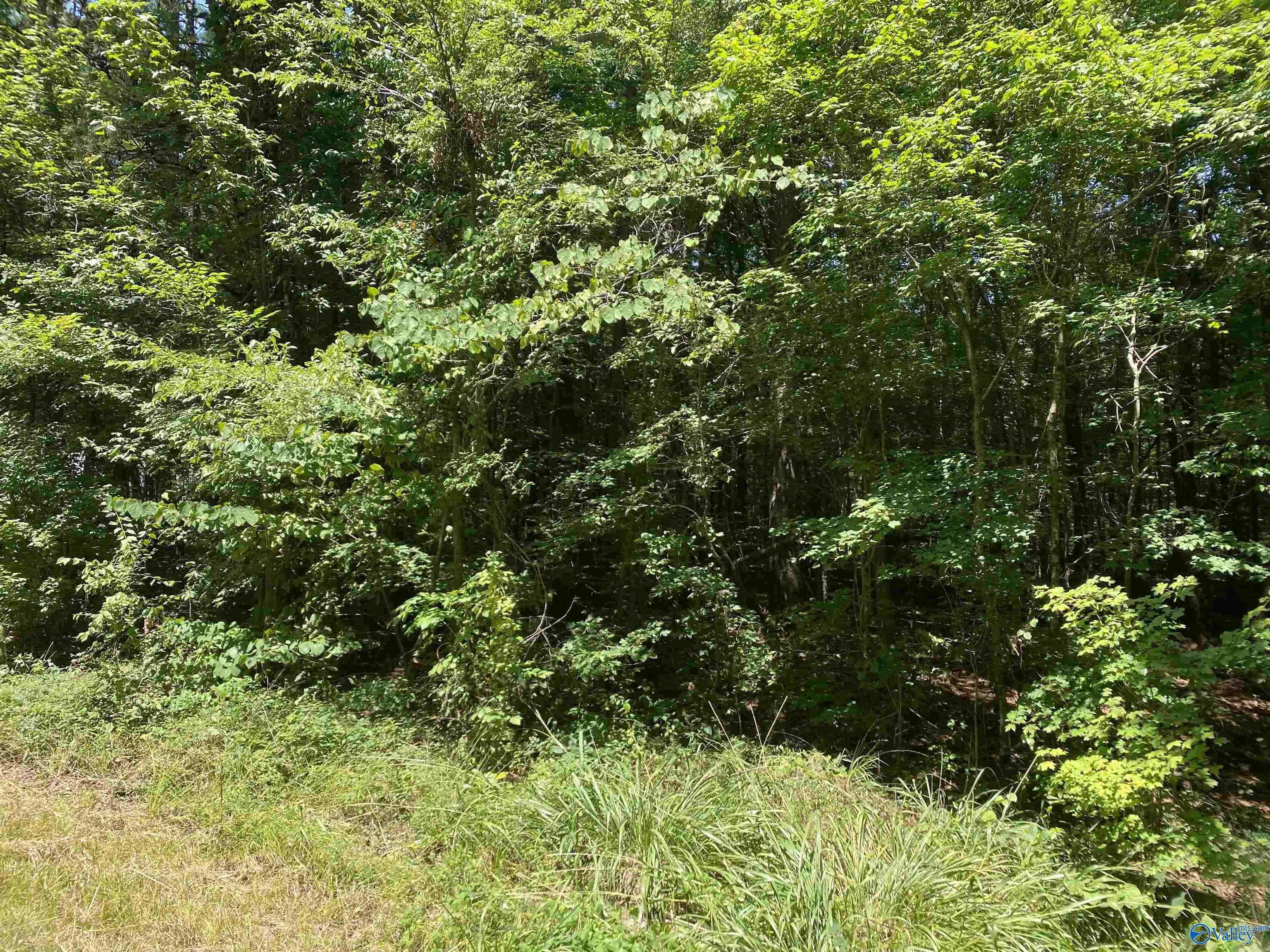 23 Acres Tanglewood Trail, Hokes Bluff, Alabama image 1