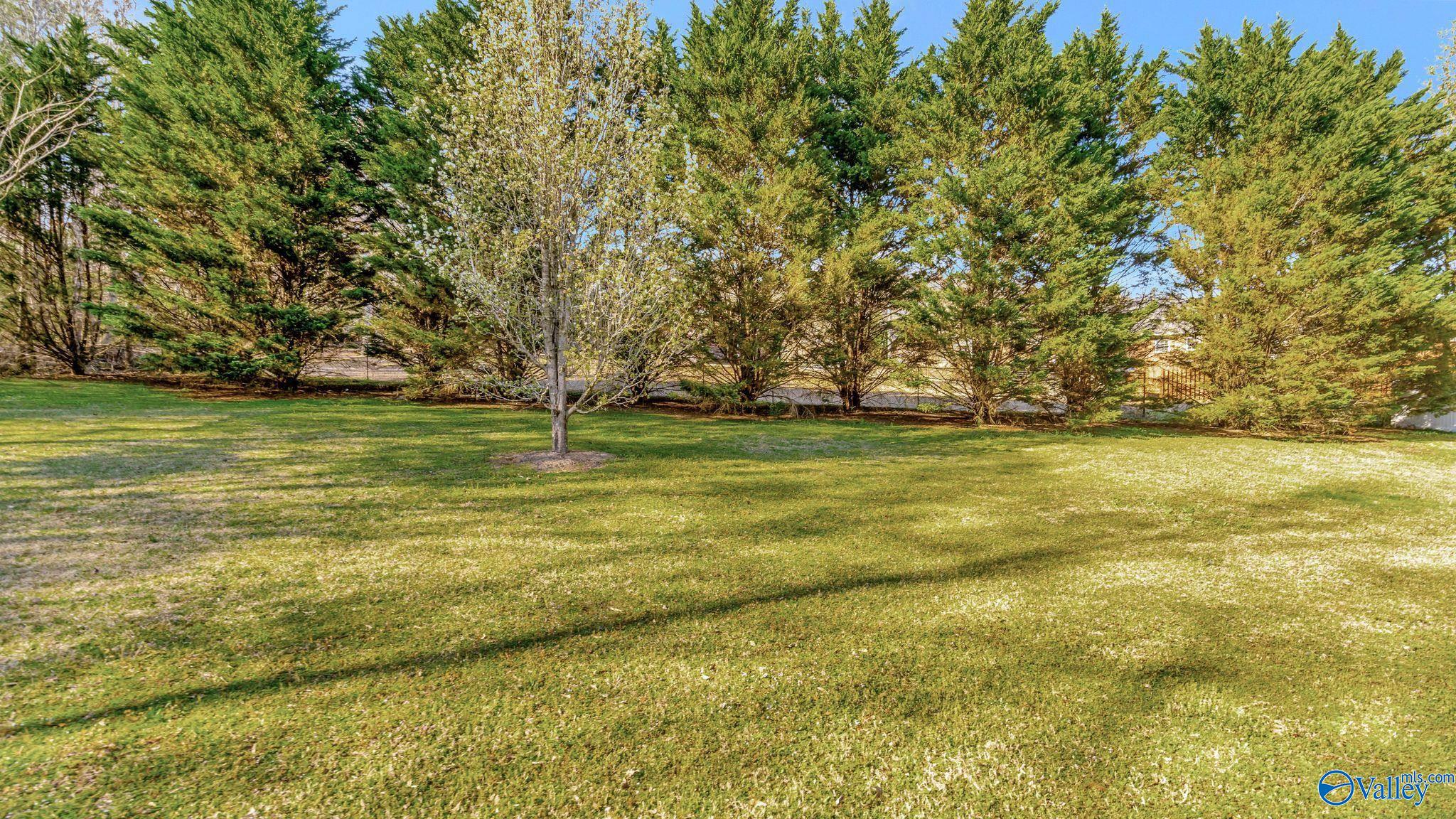 332 Bow Range Road, Guntersville, Alabama image 25