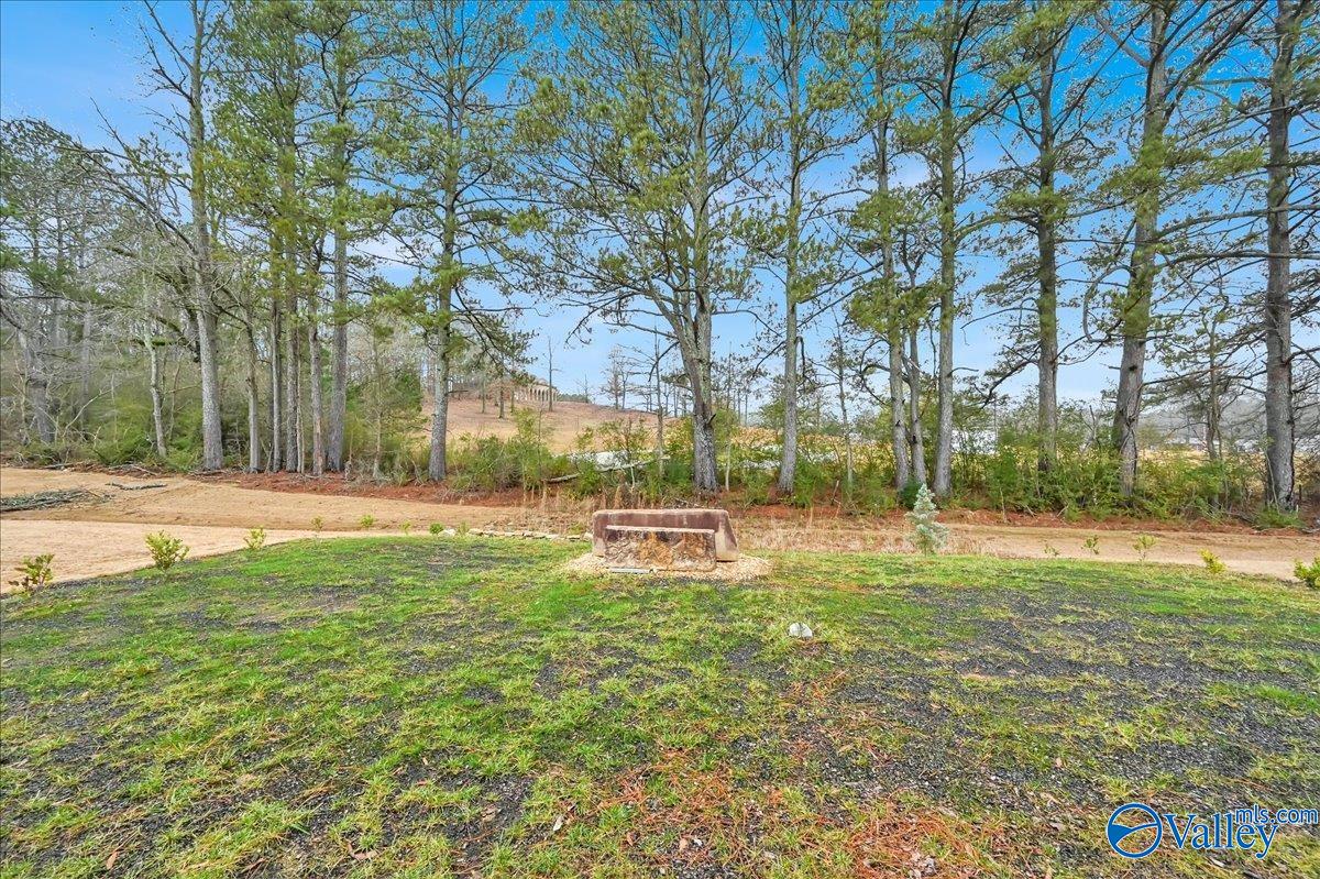 1687 Amber Avenue, Cullman, Alabama image 20