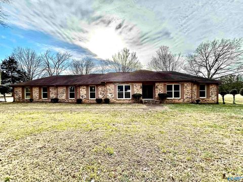 Photo of 29401 Alabama Highway 251, Ardmore, AL 35739 (MLS # 21909749)