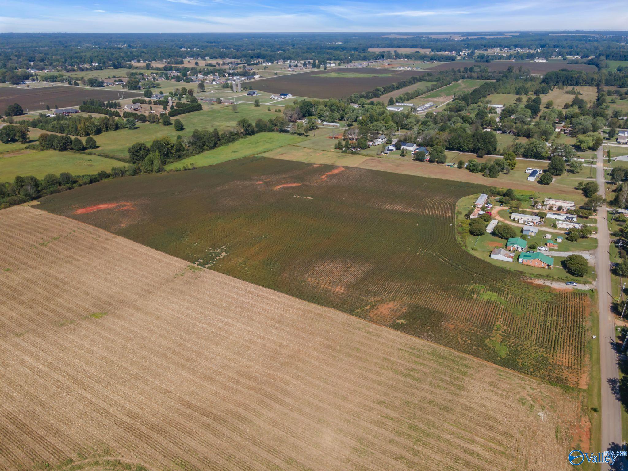 20 Acres Stephens Road, Hazel Green, Alabama image 8