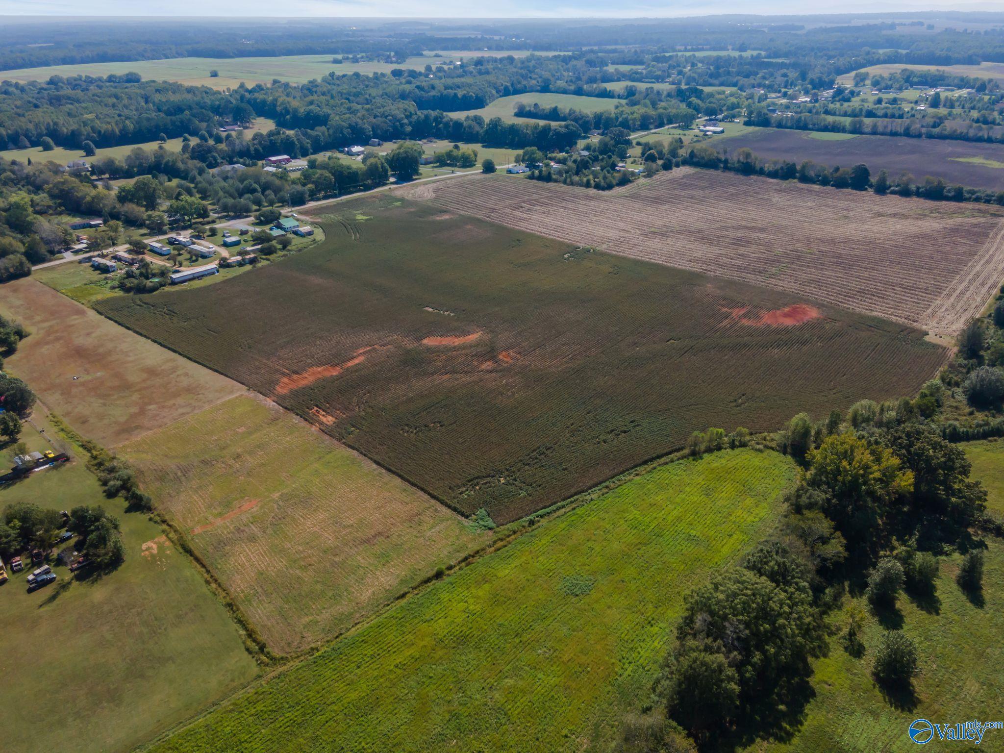 20 Acres Stephens Road, Hazel Green, Alabama image 24