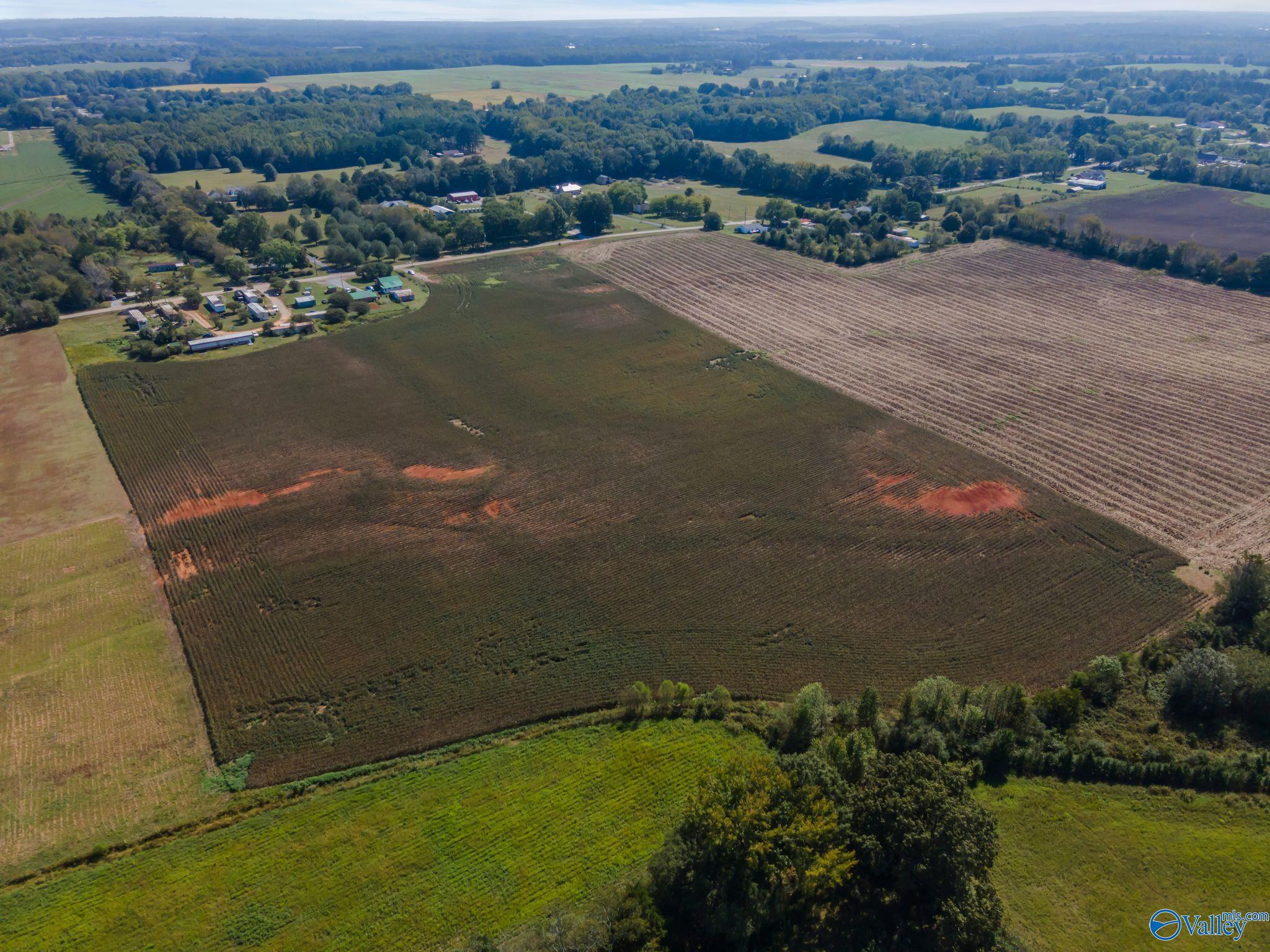 20 Acres Stephens Road, Hazel Green, Alabama image 22