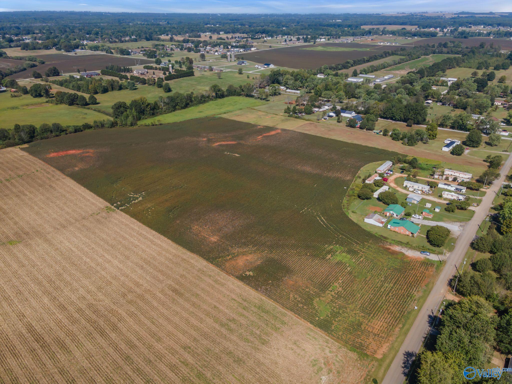 20 Acres Stephens Road, Hazel Green, Alabama image 6