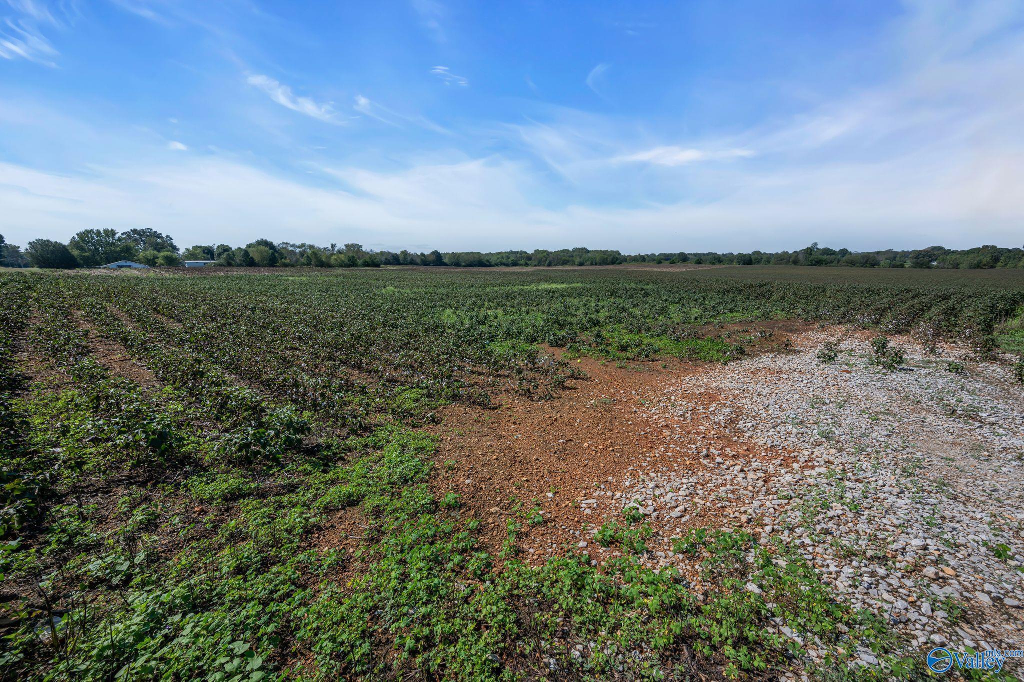 20 Acres Stephens Road, Hazel Green, Alabama image 36