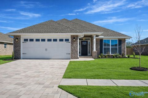 Homes For Sale - 125 Sidney Ruth Drive<br/> New Market, AL 35761