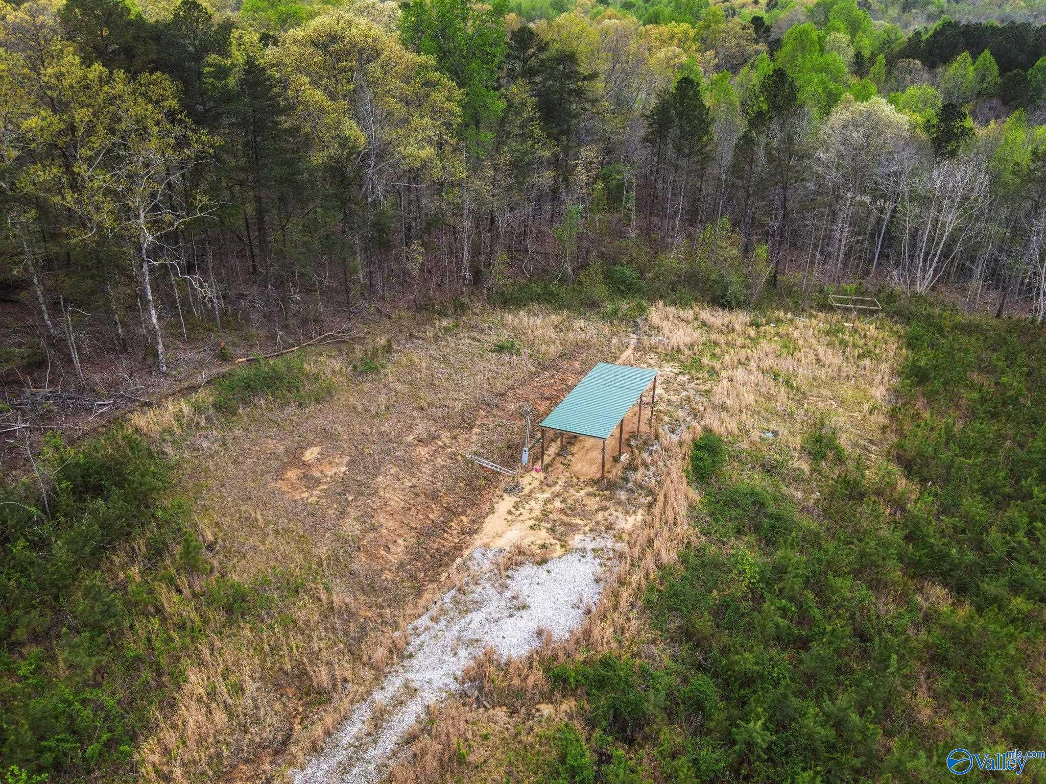 743 County Road 13, Haleyville, Alabama image 4