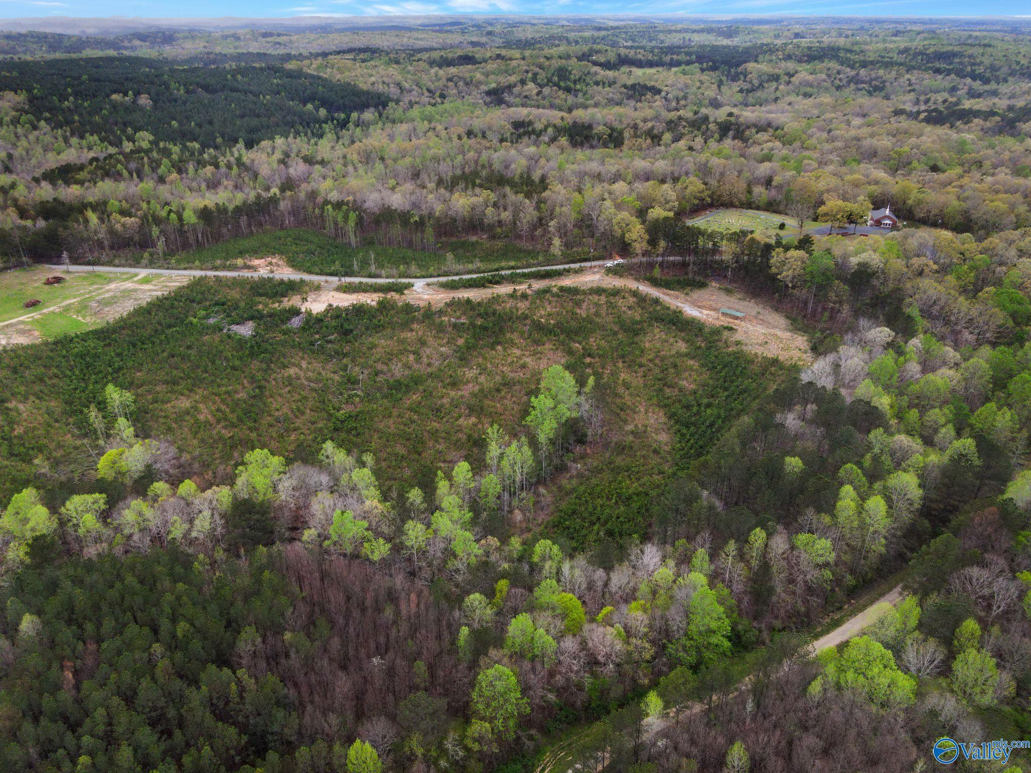 743 County Road 13, Haleyville, Alabama image 8