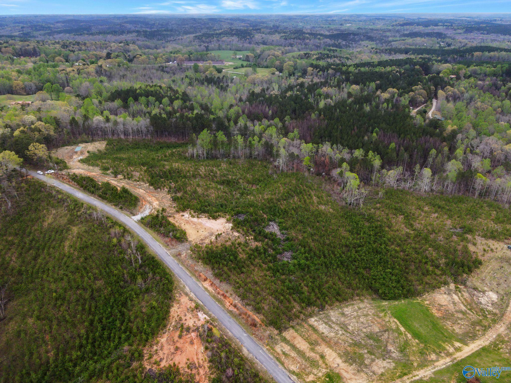 743 County Road 13, Haleyville, Alabama image 7
