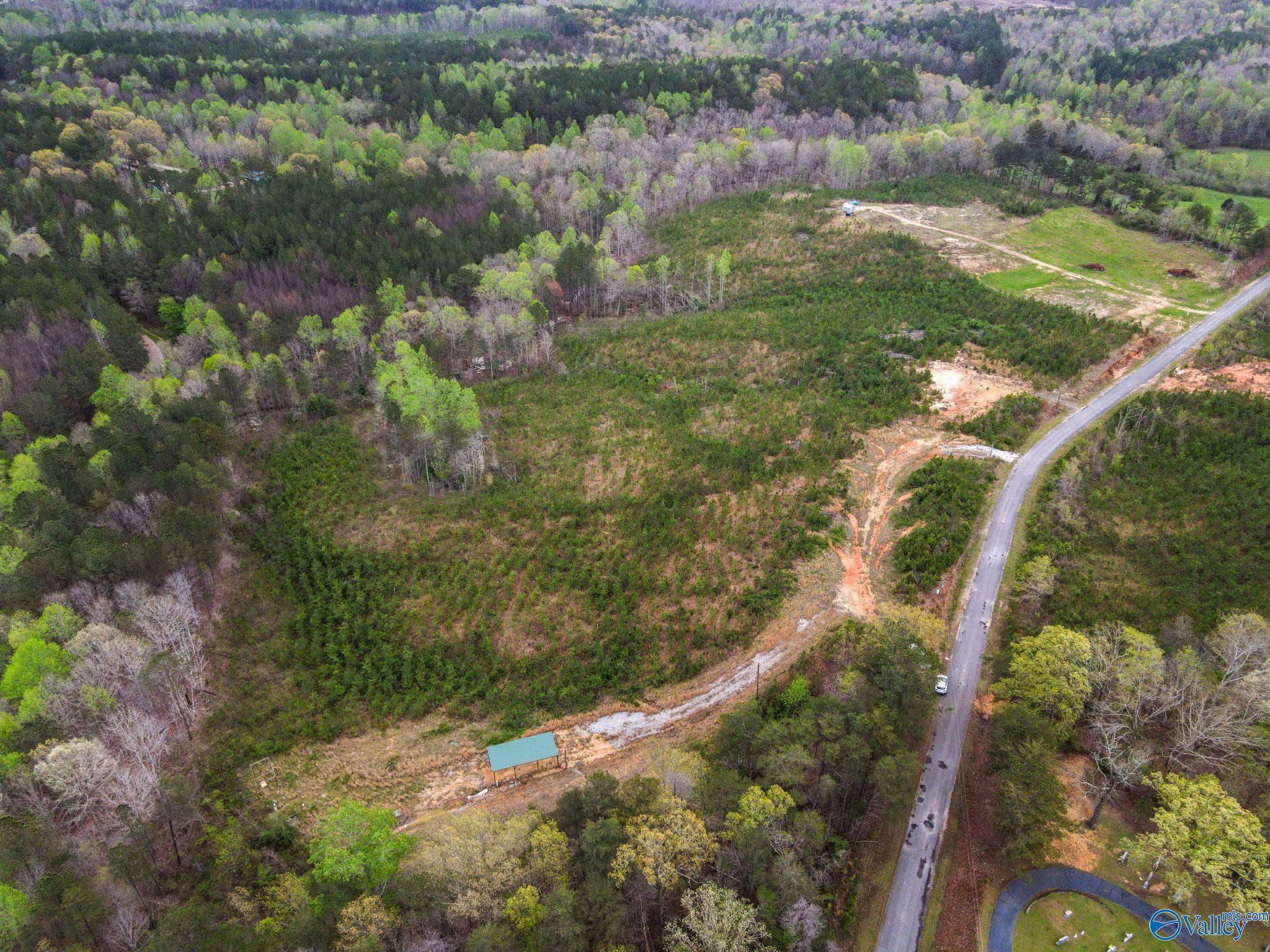 743 County Road 13, Haleyville, Alabama image 16