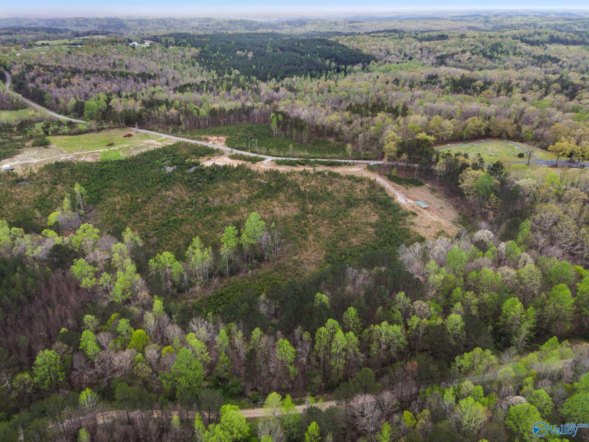 743 County Road 13, Haleyville, Alabama image 22