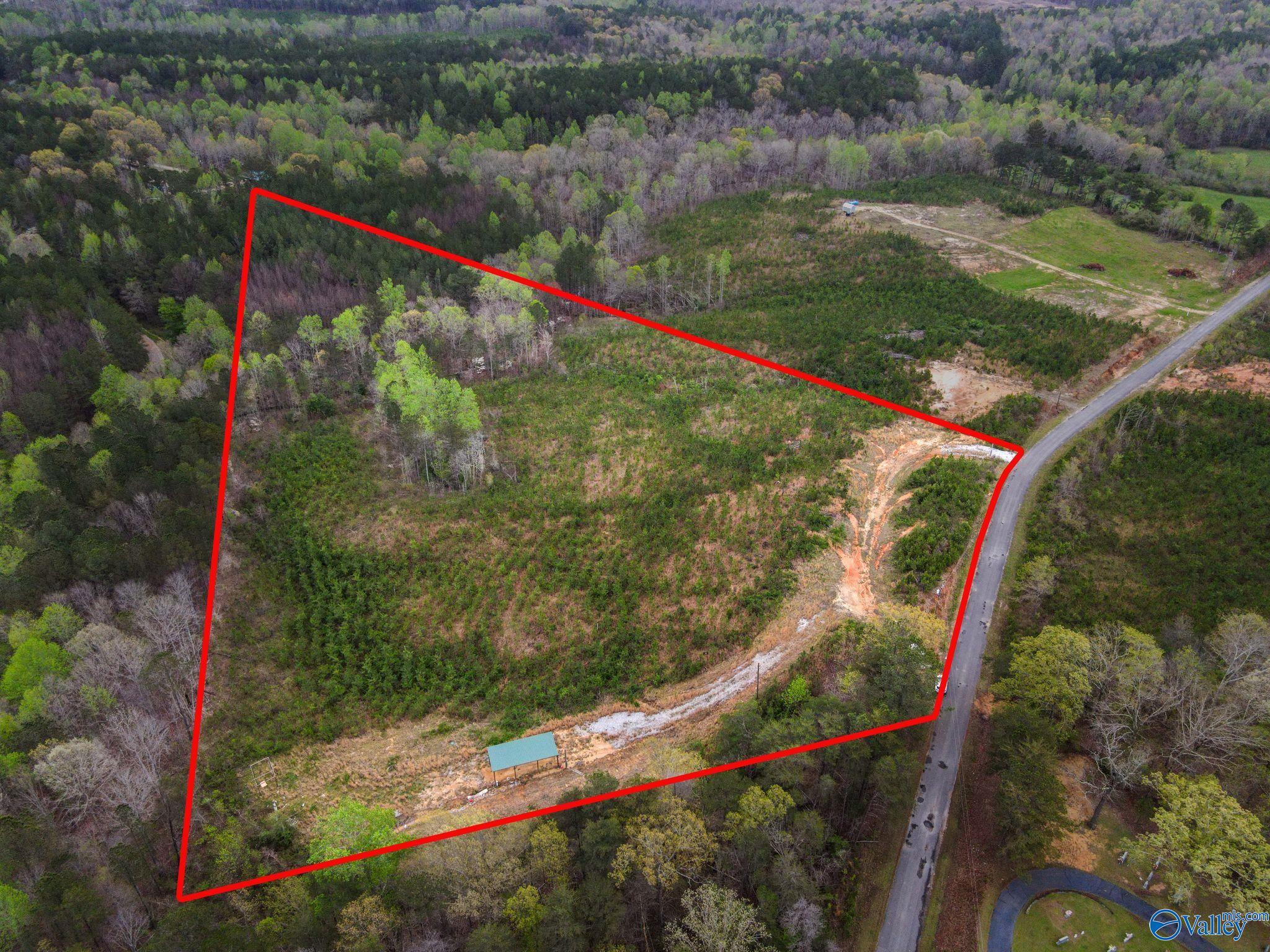 743 County Road 13, Haleyville, Alabama image 1
