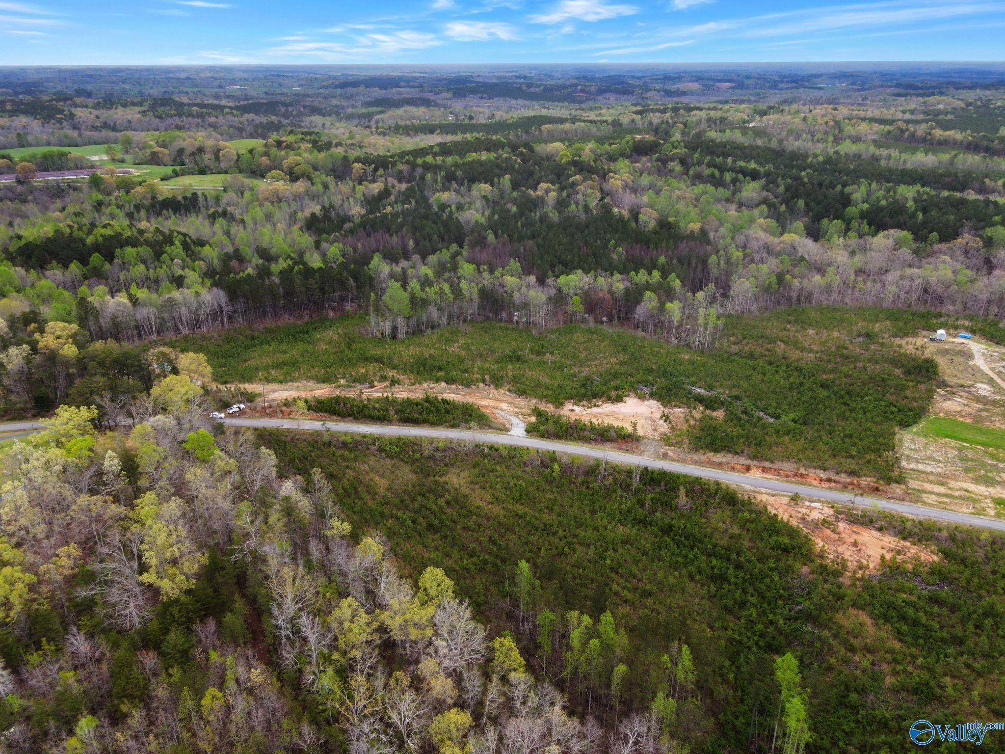 743 County Road 13, Haleyville, Alabama image 15