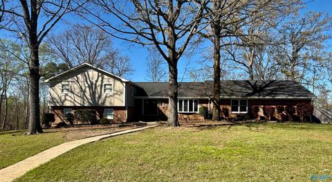 Photo of 2126 Mary Jane Drive, Southside, AL 35907 (MLS # 21912309)
