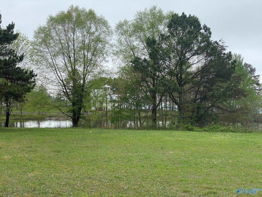 301 MAIN ST, PISGAH, AL 35765 - Image 0e015cce6f9527e1d769f38f4fcd60eb/1232705979