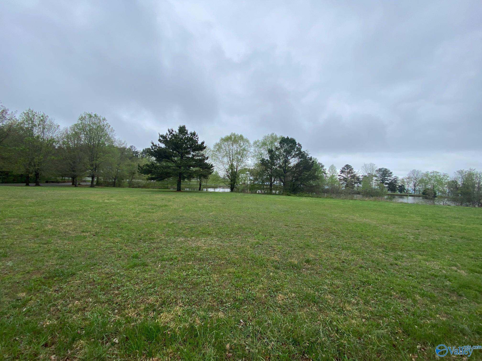 Lot 302 Main Street, Pisgah, Alabama image 7