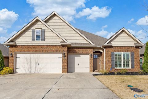 Photo of 139 Shrewsberry Drive, New Market, AL 35761 (MLS # 21905157)