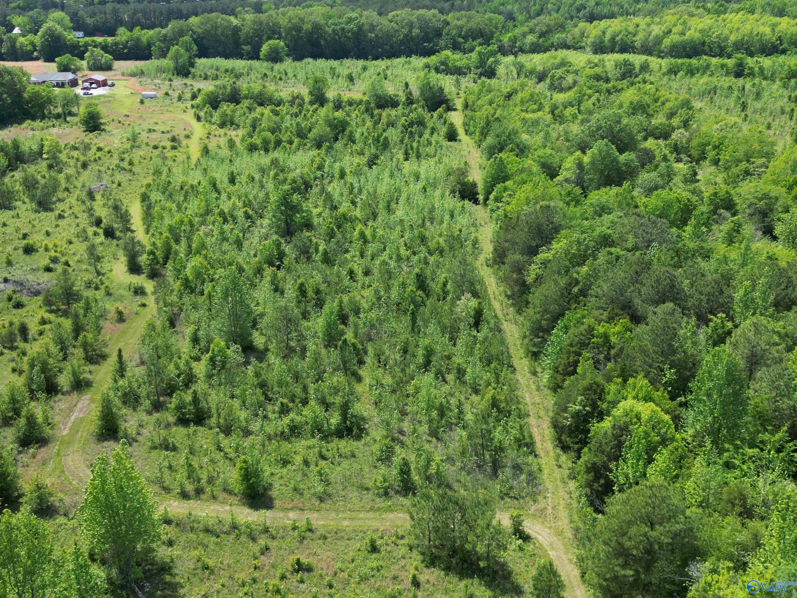 9-Acre Beaver Creek Road, Laceys Spring, Alabama image 2