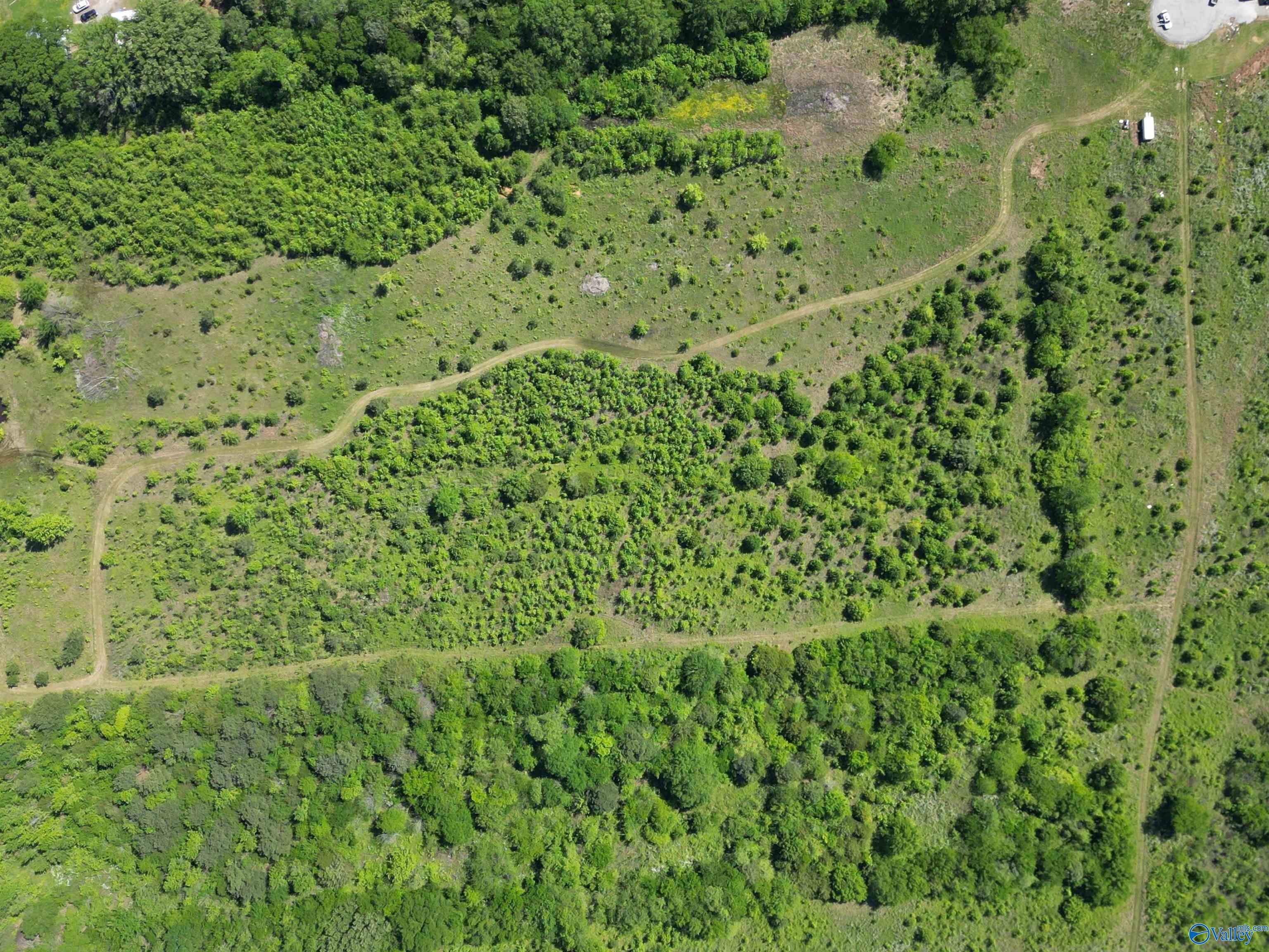 9-Acre Beaver Creek Road, Laceys Spring, Alabama image 3