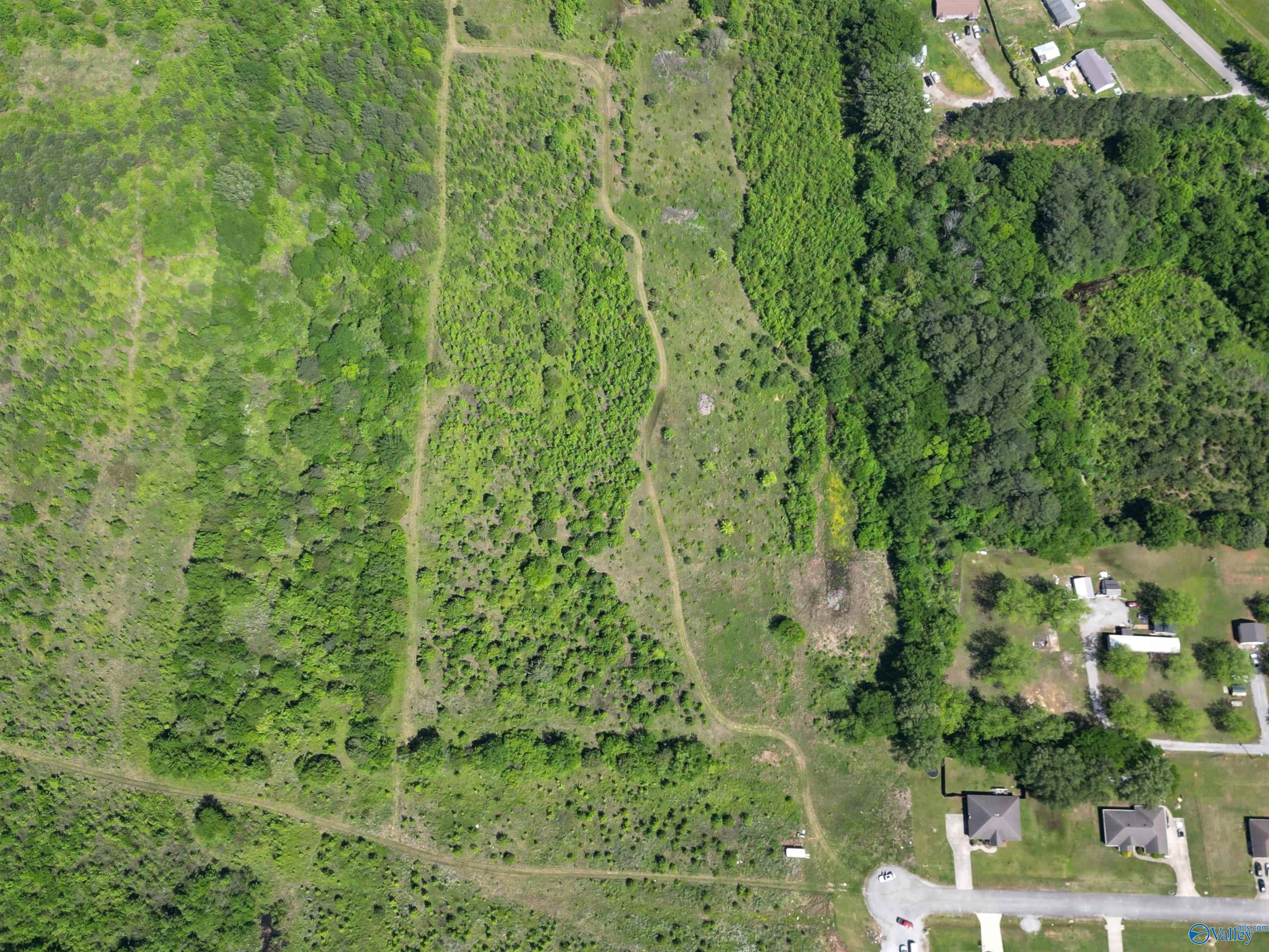 9-Acre Beaver Creek Road, Laceys Spring, Alabama image 4