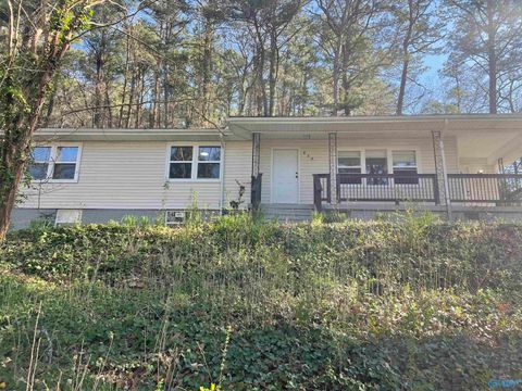 Homes For Sale - 617 Noccalula Road<br/> Etowah County, Gadsden, AL 35904