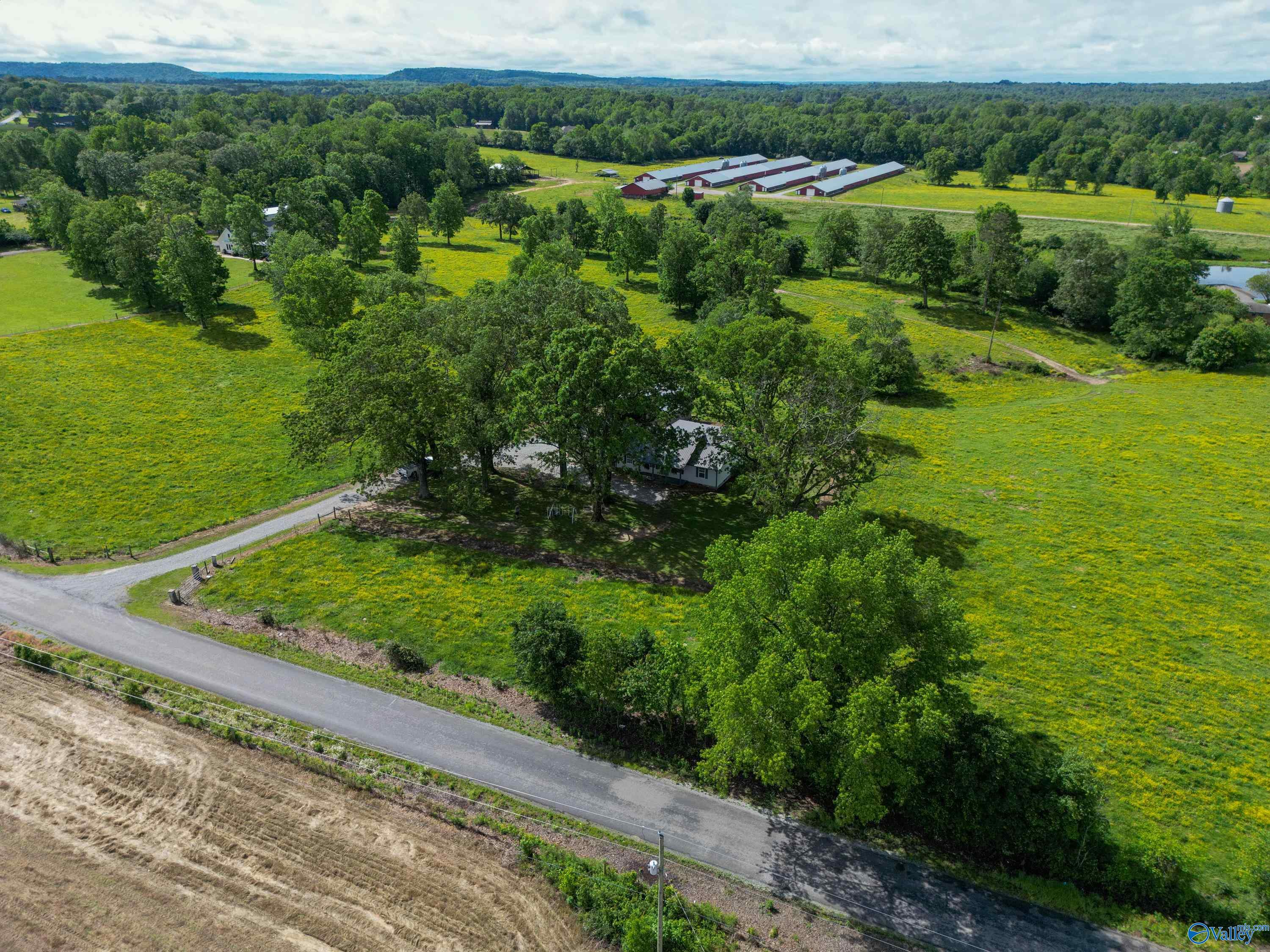 5094 County Road 159, Ider, Alabama image 45