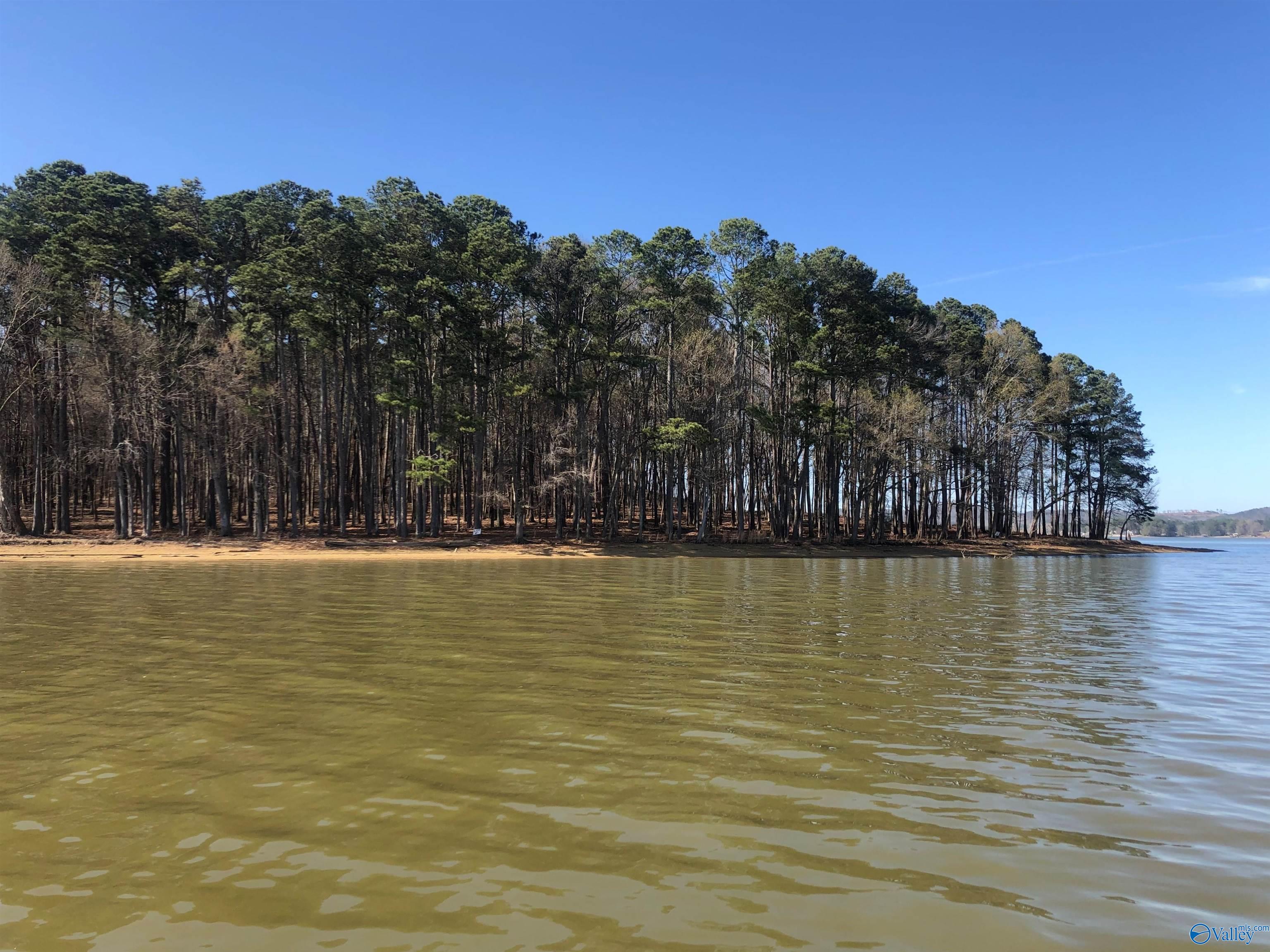 Lot 2 Little River Landing, Cedar Bluff, Alabama image 3