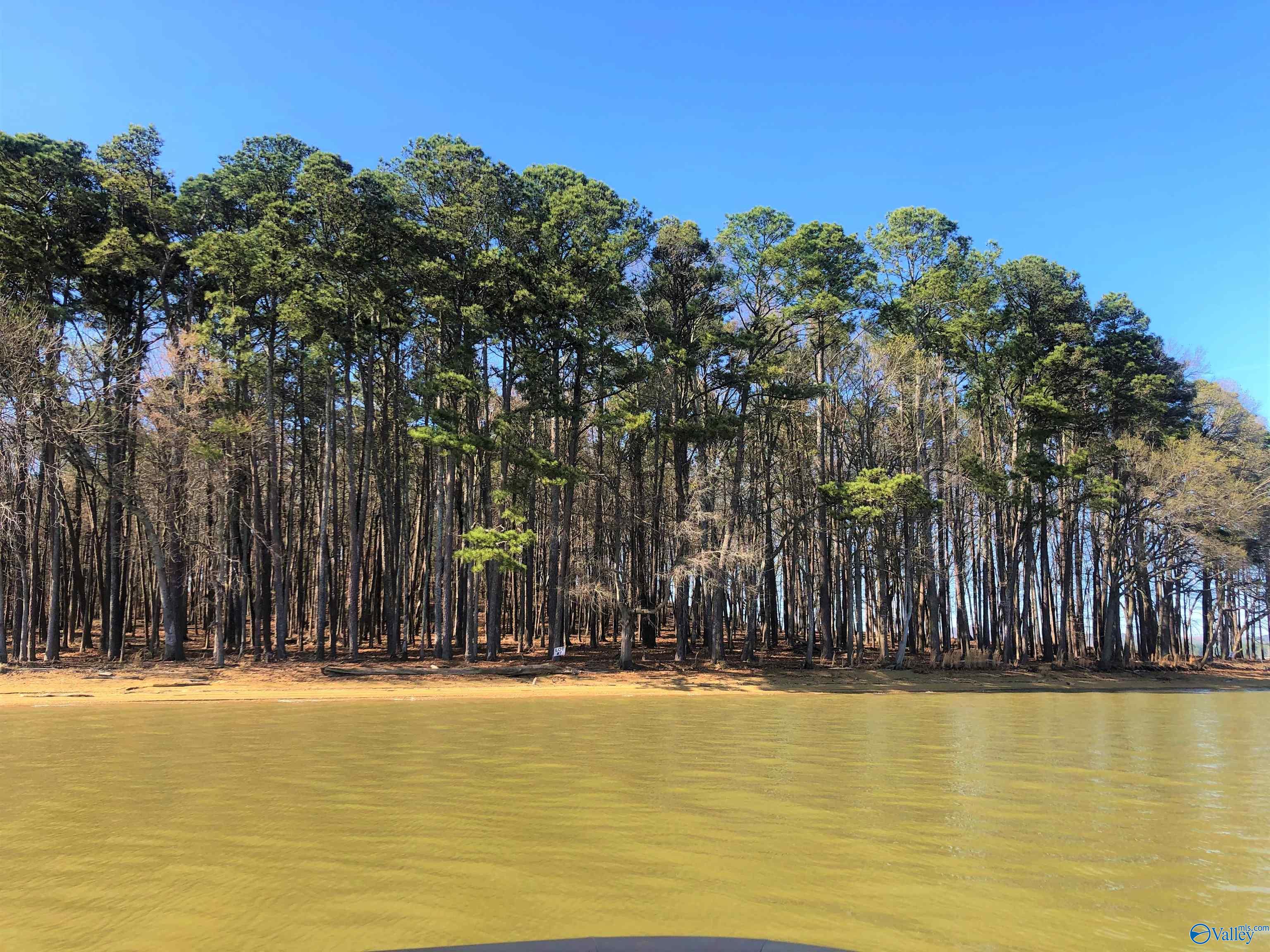 Lot 2 Little River Landing, Cedar Bluff, Alabama image 4