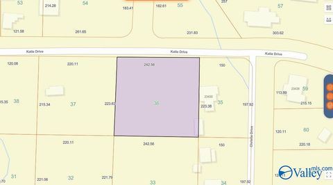 Vacant Land For Sale - 1.23 ACRES Katie Drive<br/> Toney, AL 35773
