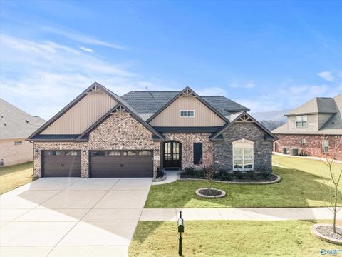 Homes For Sale - 7539 Flint Crossing Circle<br/> Owens Cross Roads, AL 35763