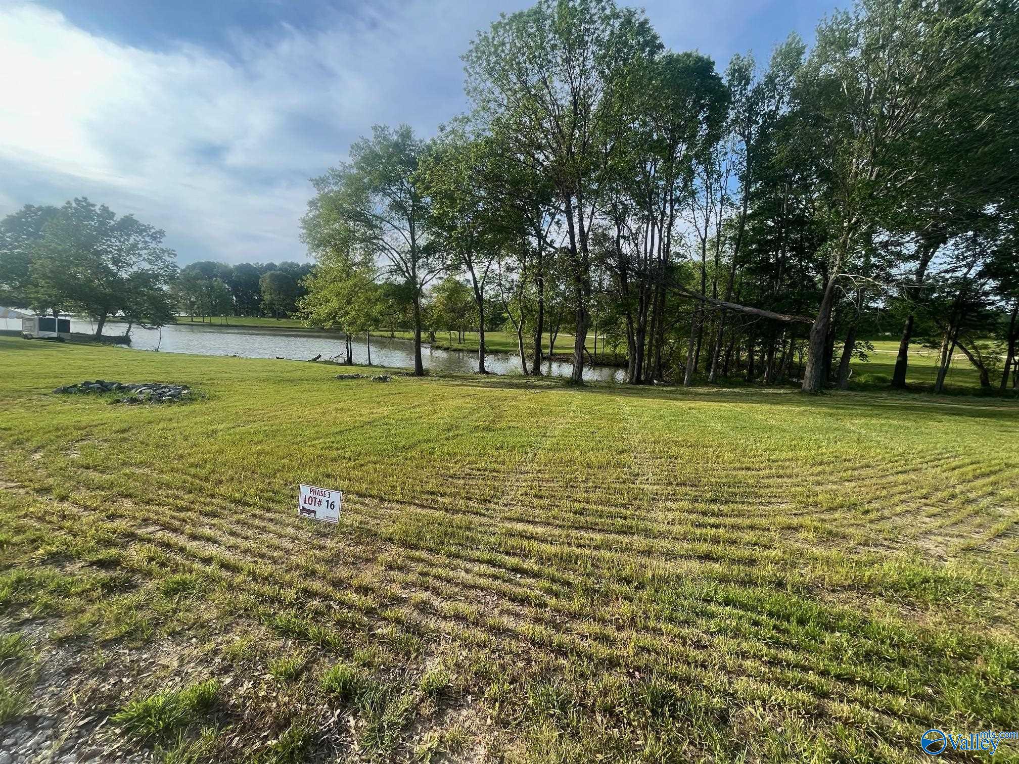 16 County Road 115, Cedar Bluff, Alabama image 1