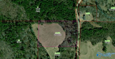 Vacant Land For Sale - 6.7 AC County Road 469<br/> Collinsville, AL 35961